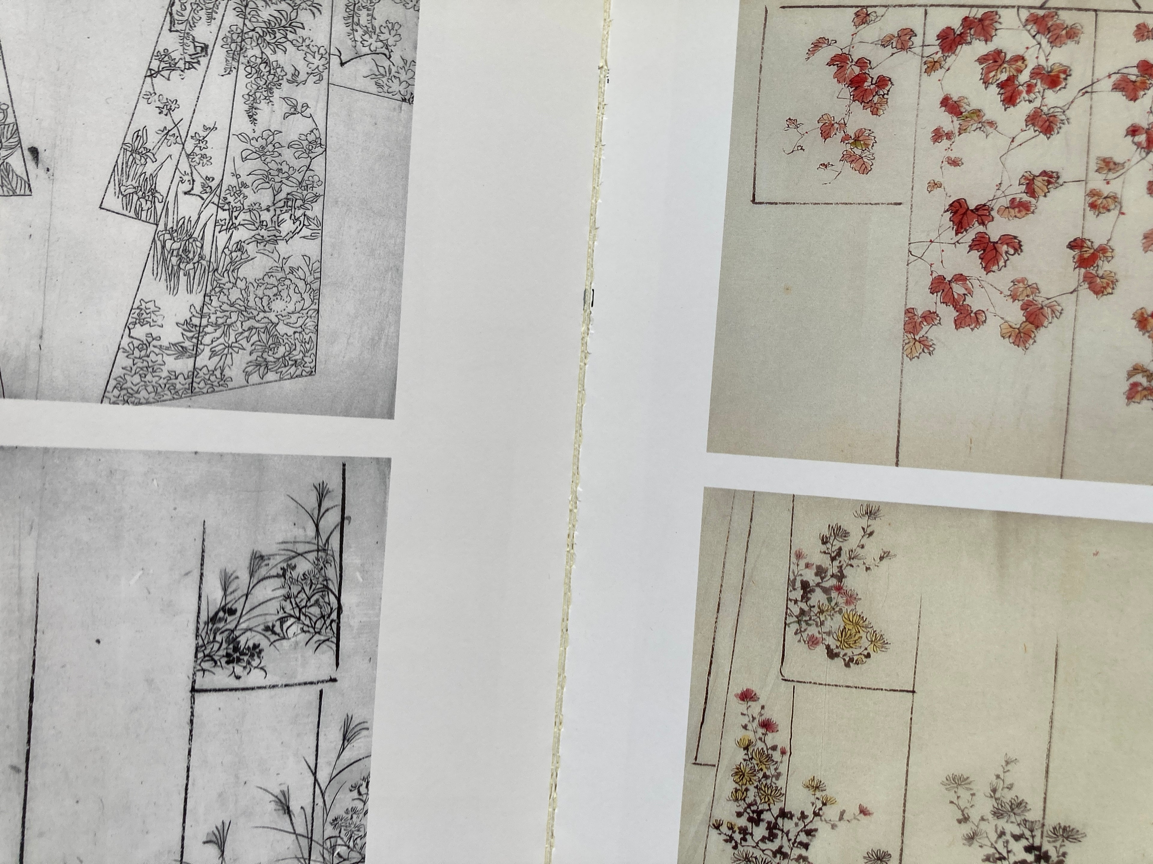 Landscapes and Plants: Maruyama School Sketch Collection Vol.3