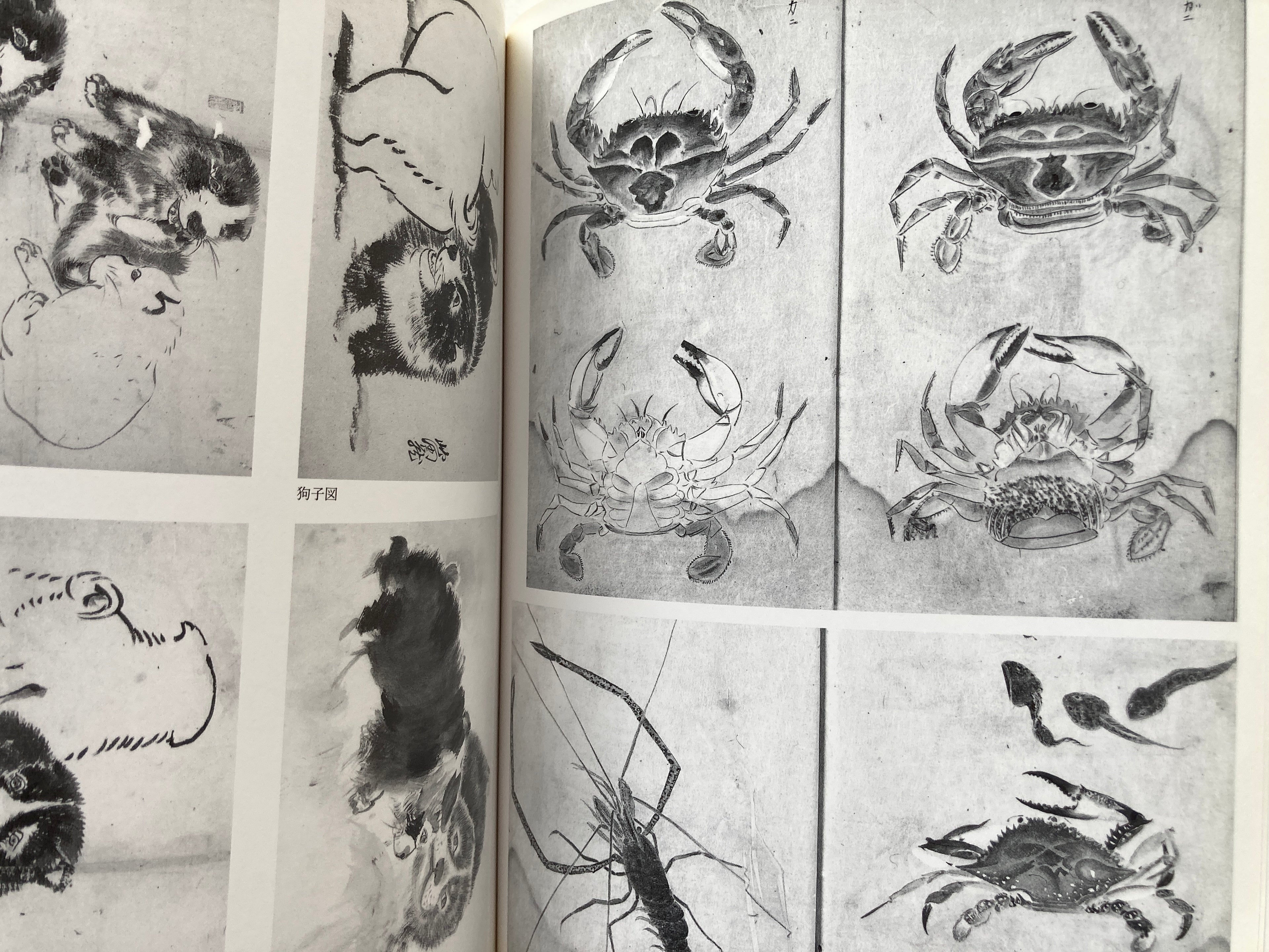 Landscapes and Plants: Maruyama School Sketch Collection Vol.3