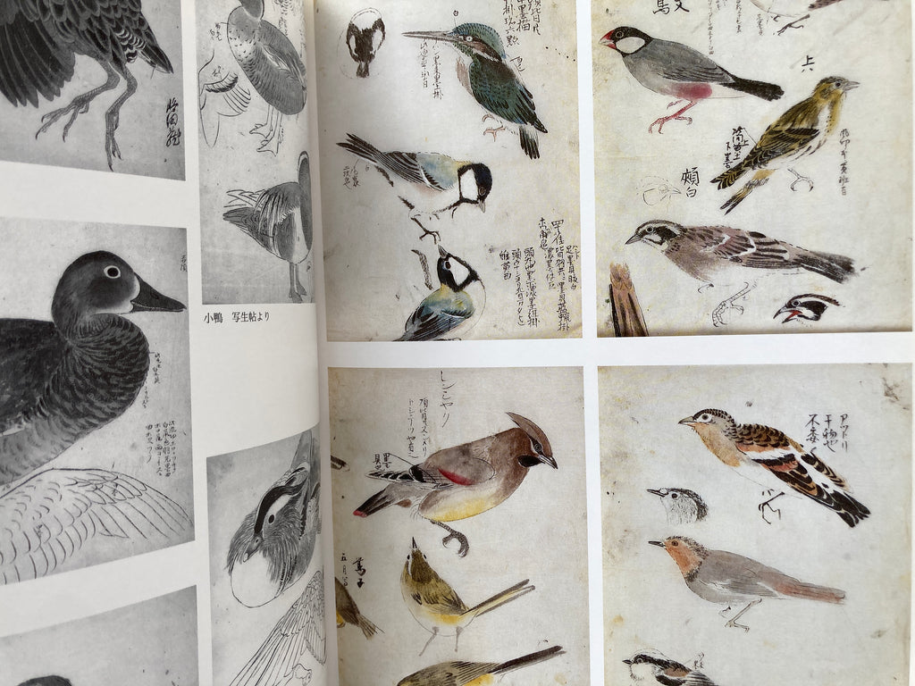 Landscapes and Plants: Maruyama School Sketch Collection Vol.3