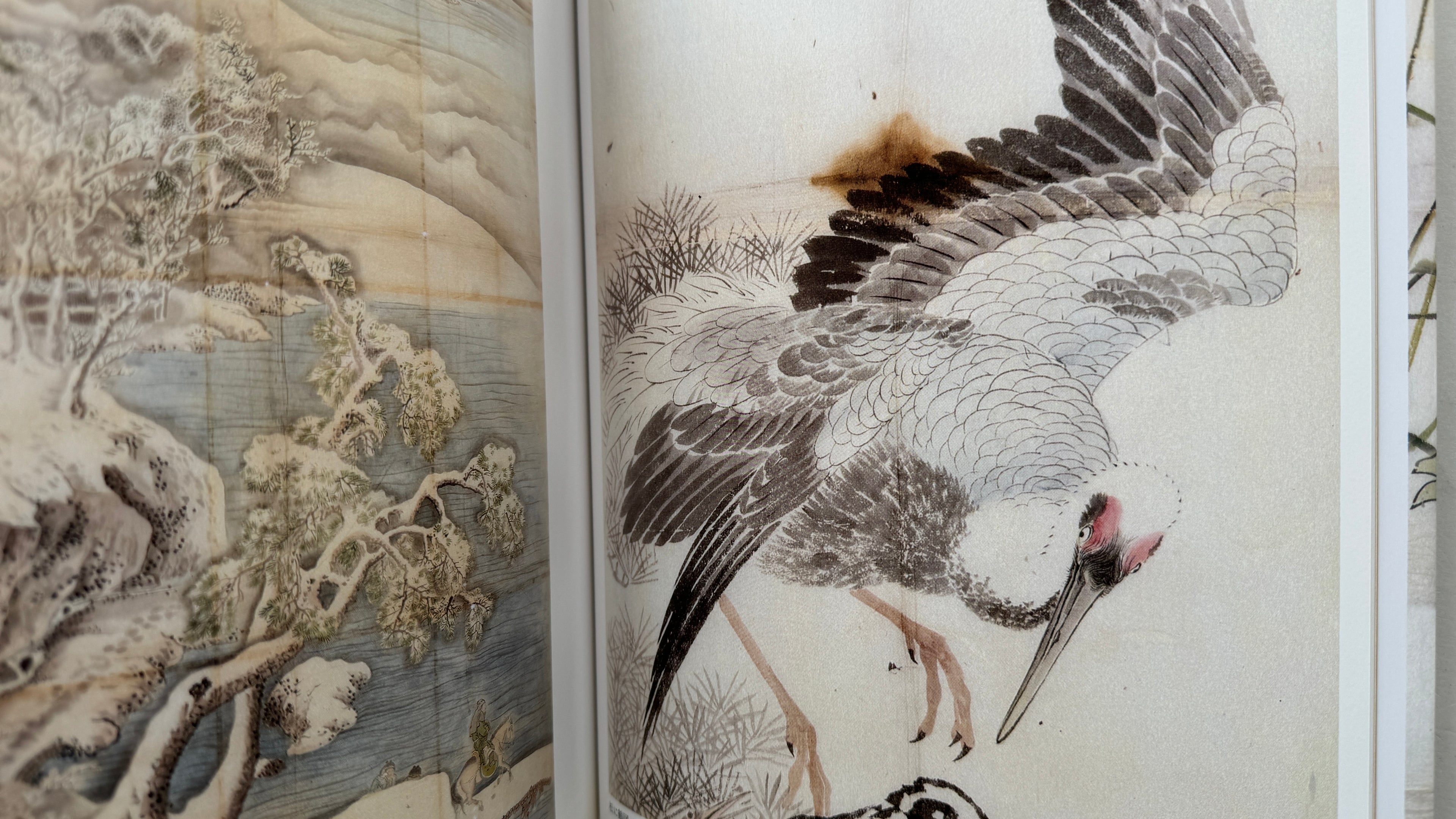 Maruyama School/ Full Set (Vol.1~5)