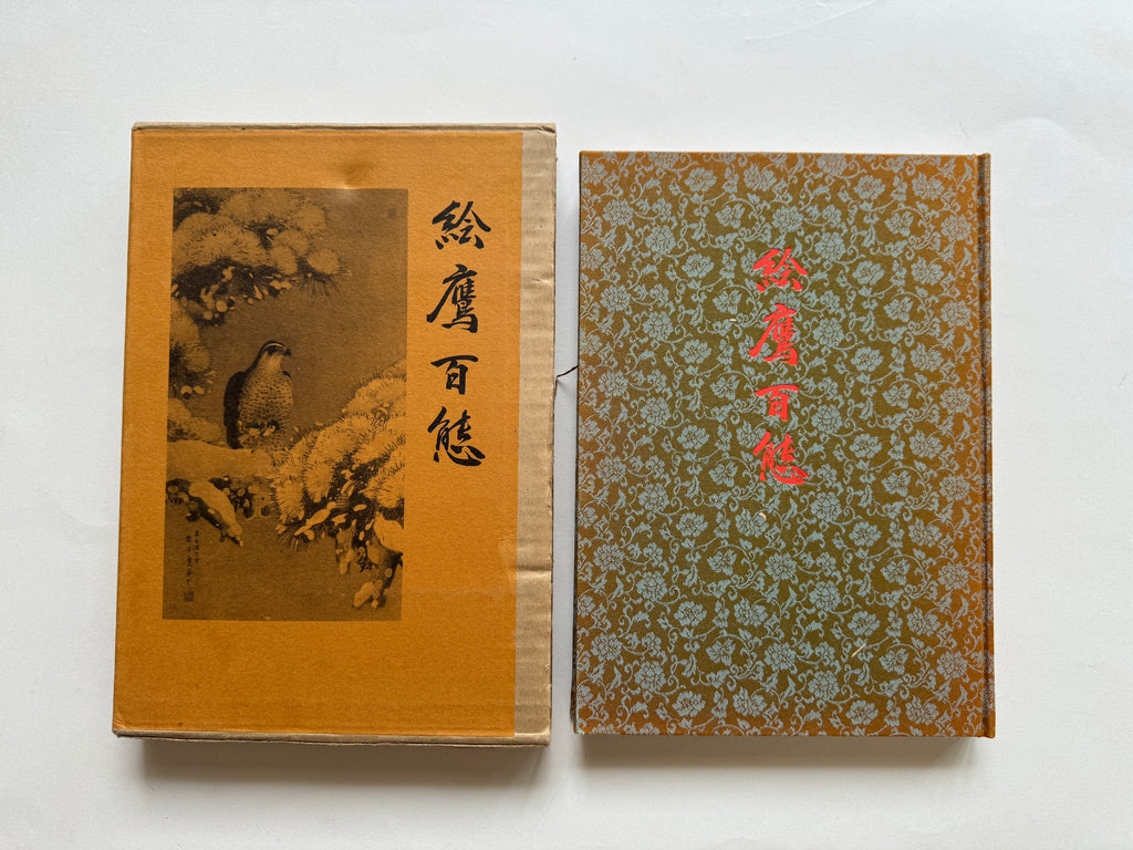 100 phases of Falcon