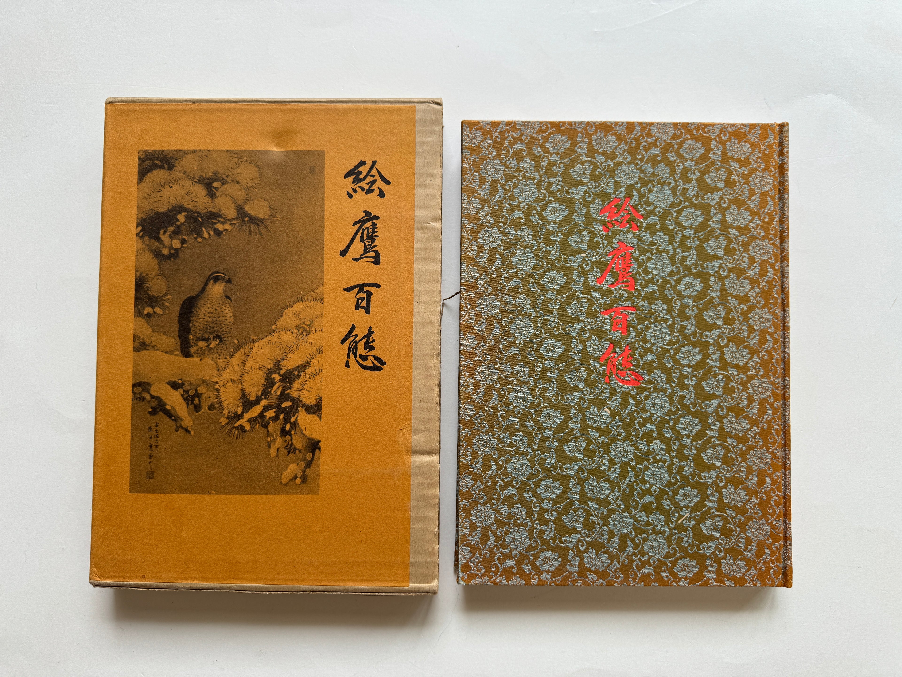 100 phases of Falcon