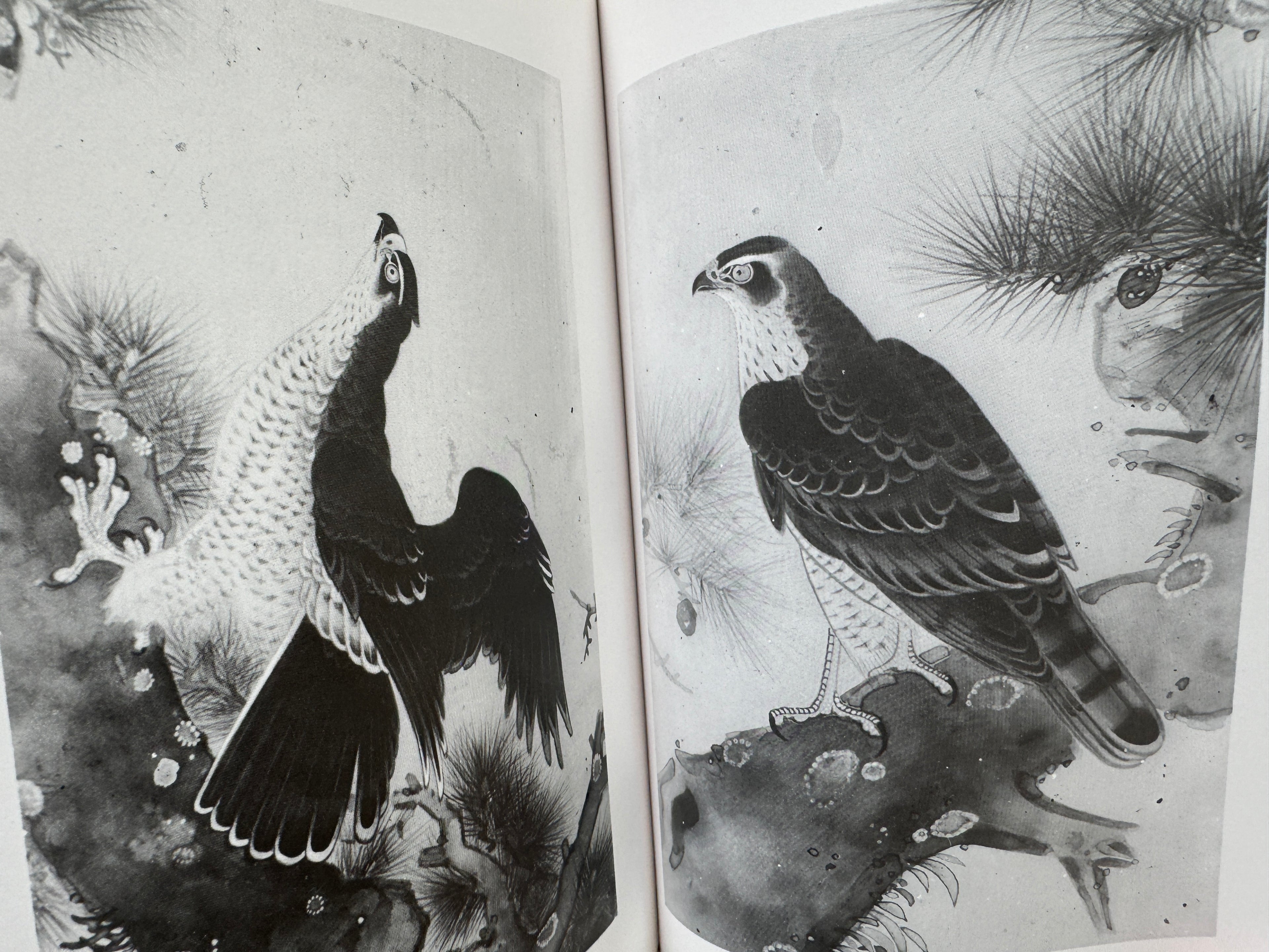 100 phases of Falcon