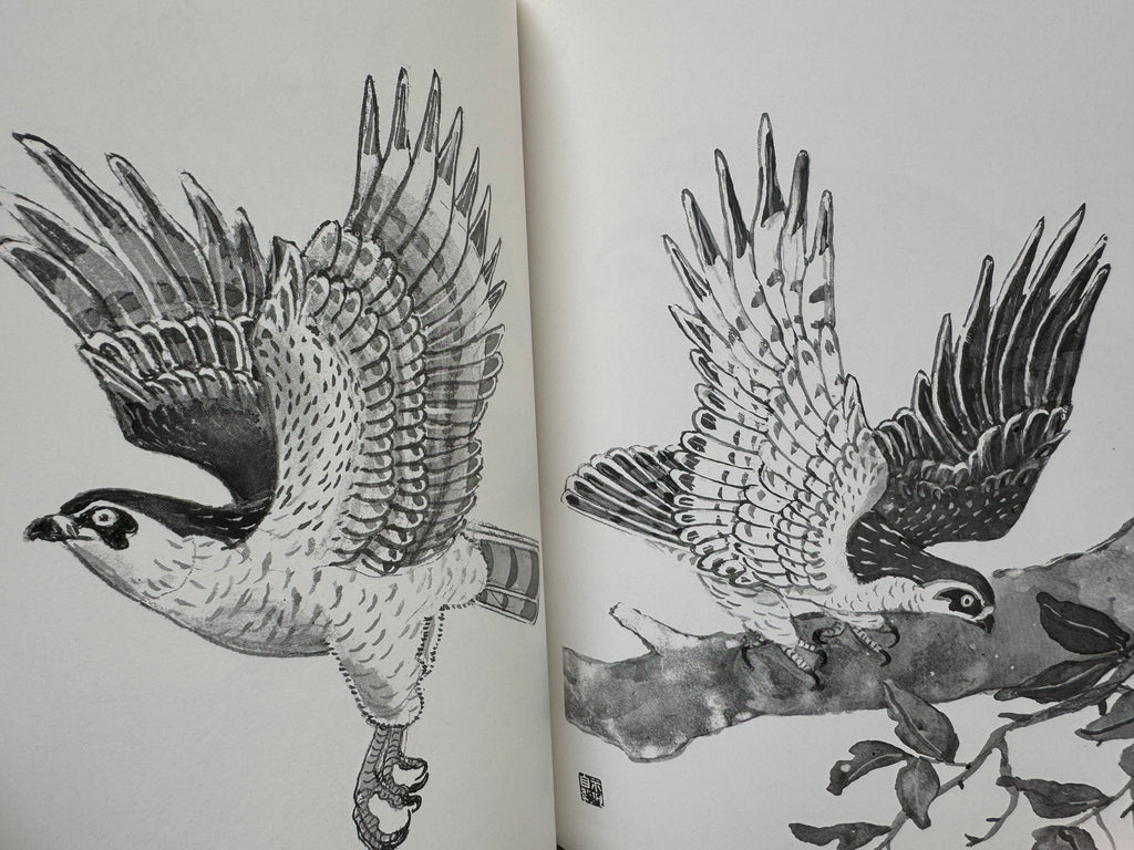 100 phases of Falcon