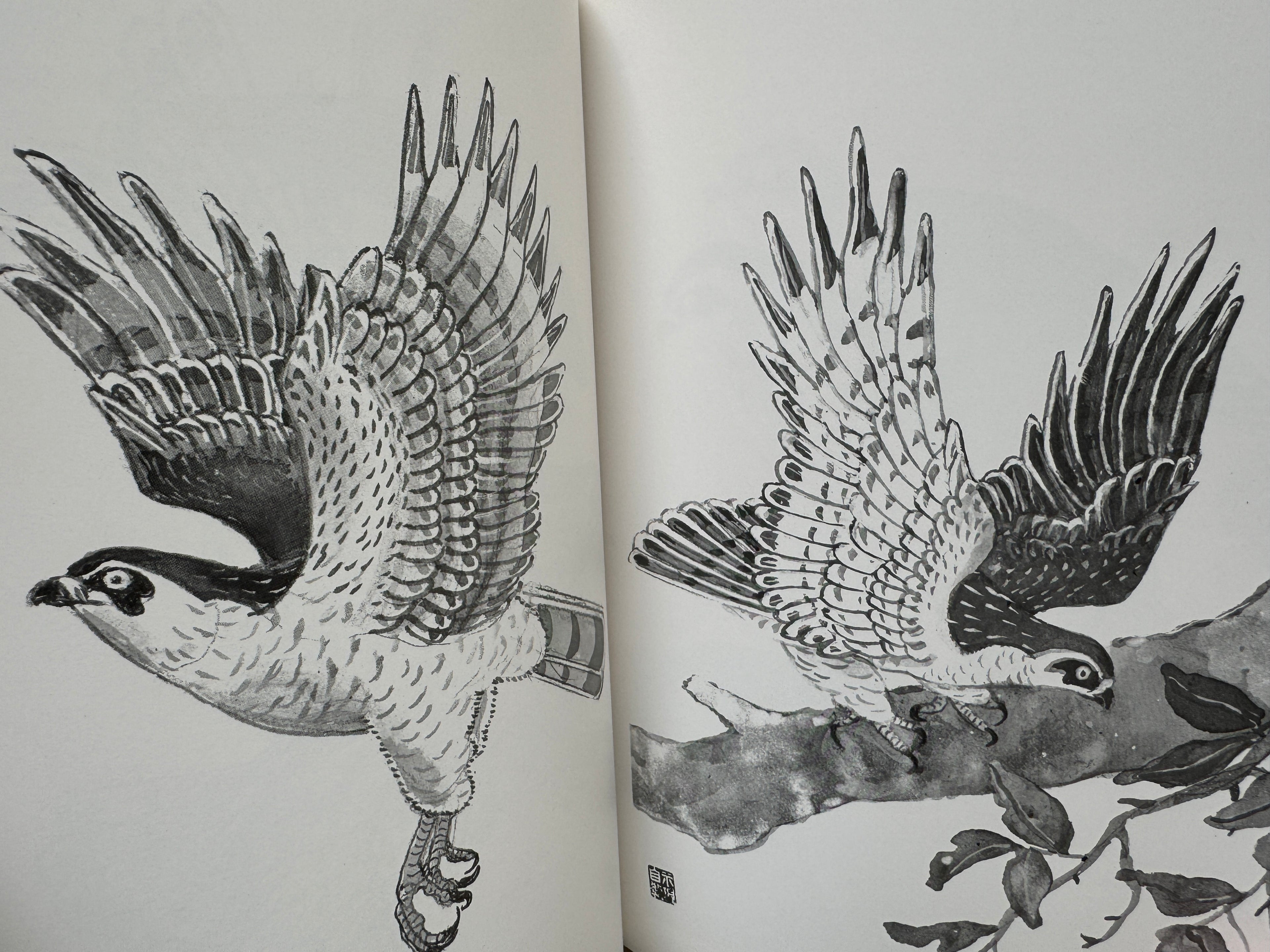 100 phases of Falcon