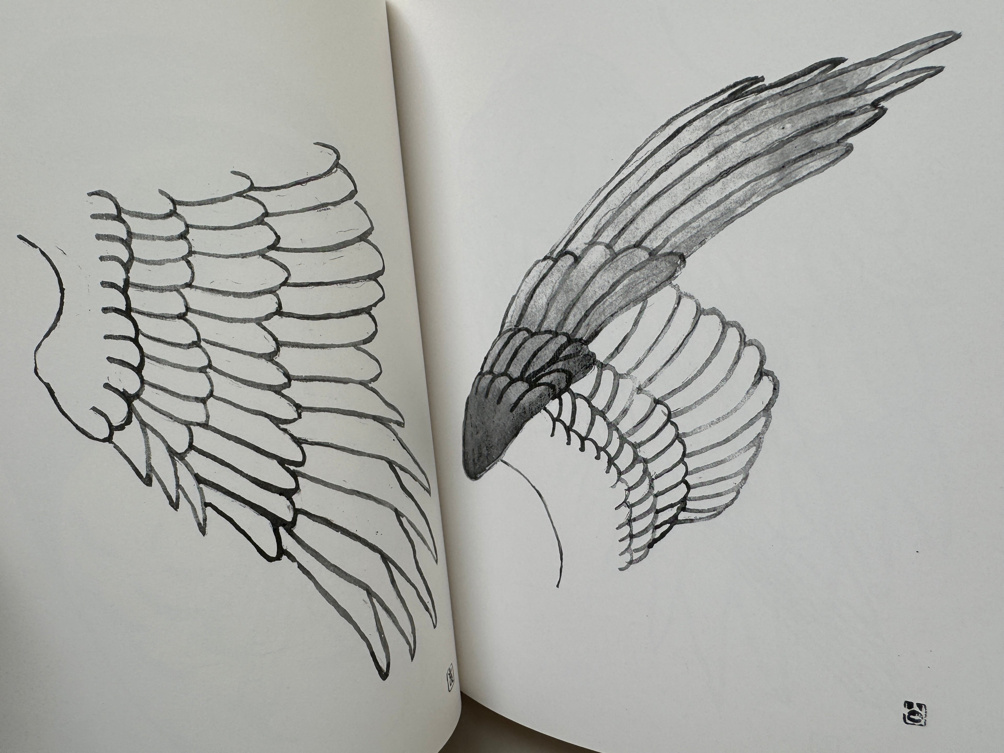 100 phases of Falcon