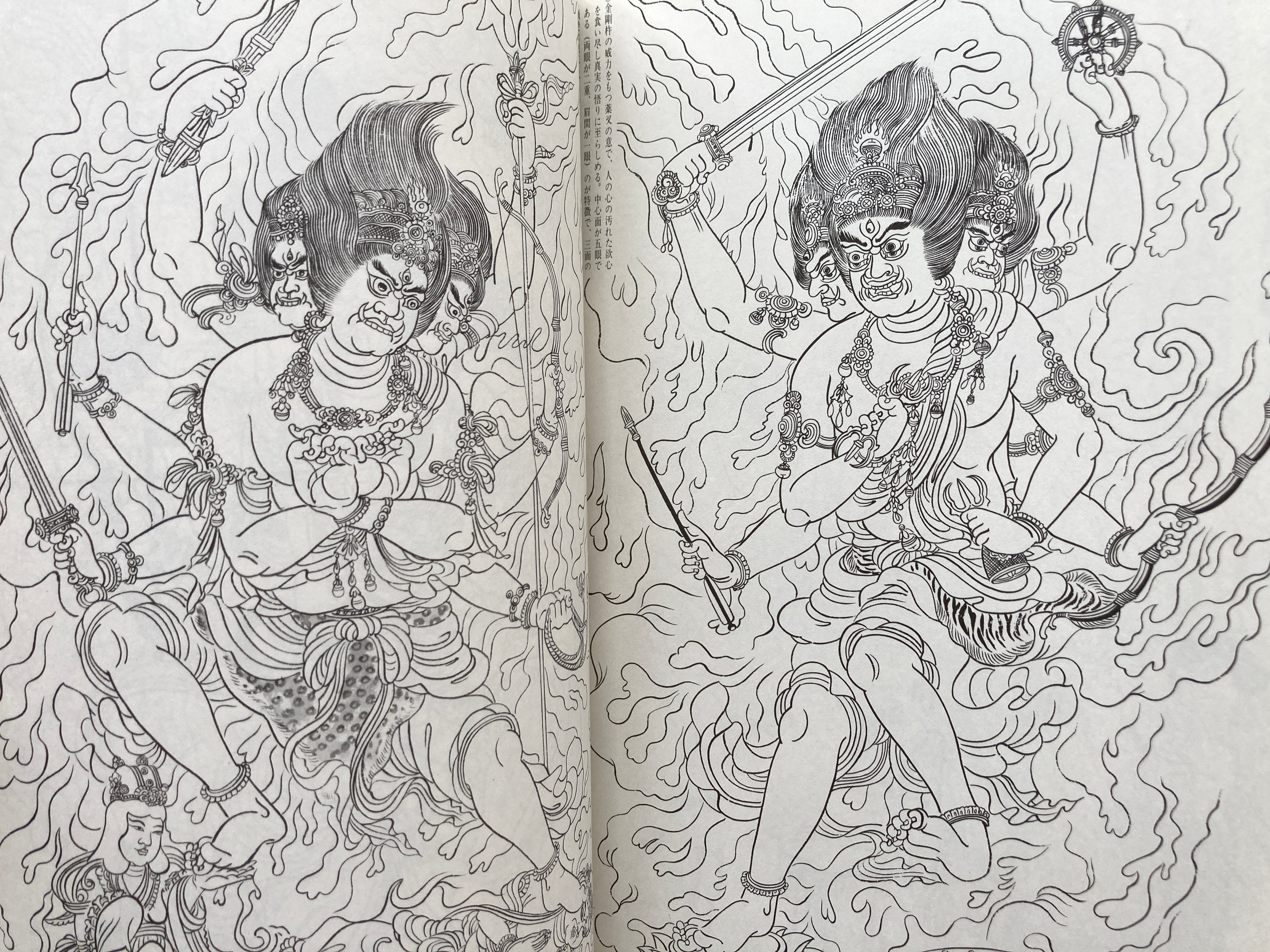 Shabutsu Sketch Picture Collection Volume 3 Fudo Myoo Adachi Gengen / [With 9 Shabutsu Sketch Picture Collections]