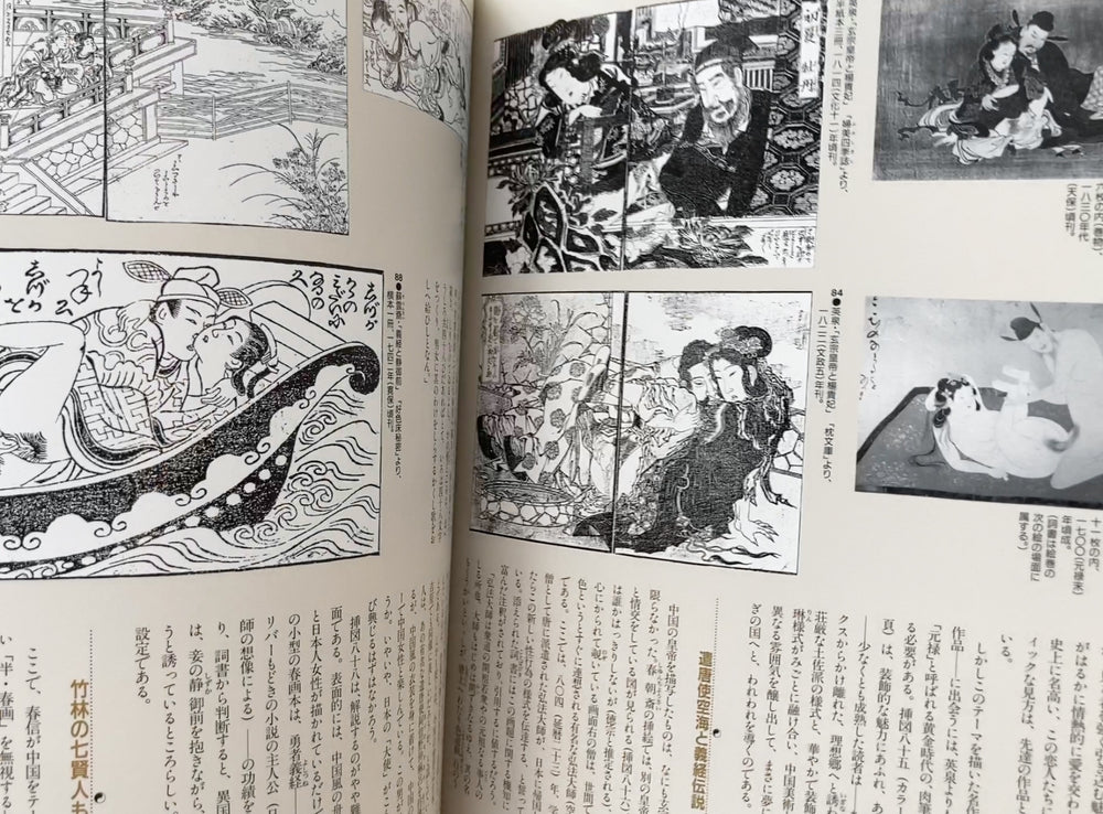 Strangers in Paradise: the Foreign Image in Japanese Art and Shunga