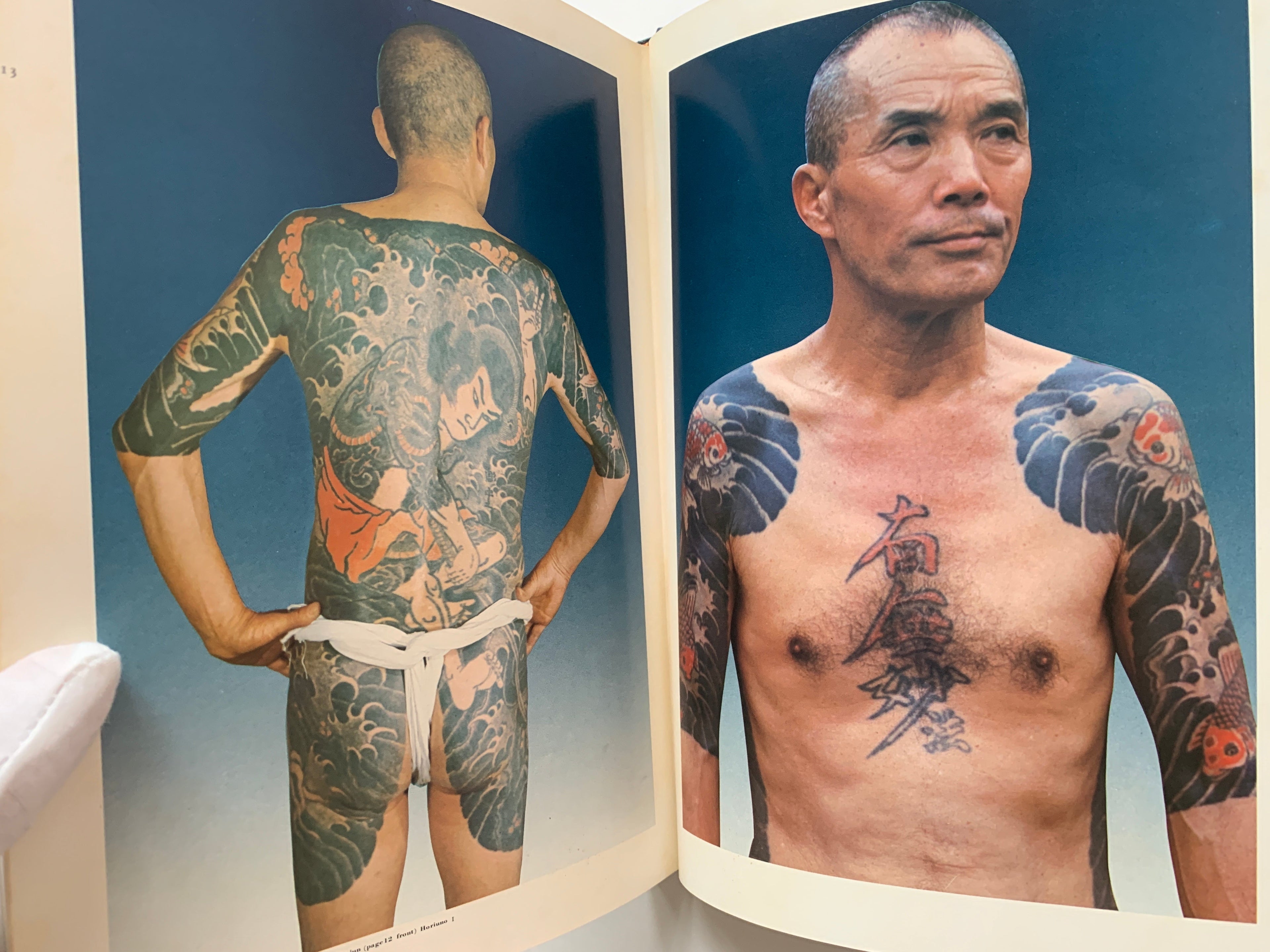 World of Japanese Tattooing by Iizawa Tadasu