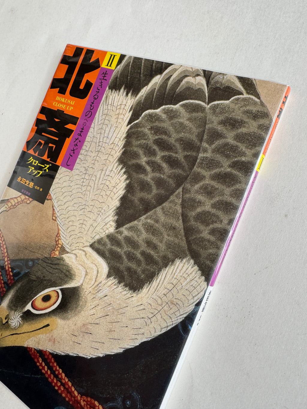 HOKUSAI CLOSE UP II