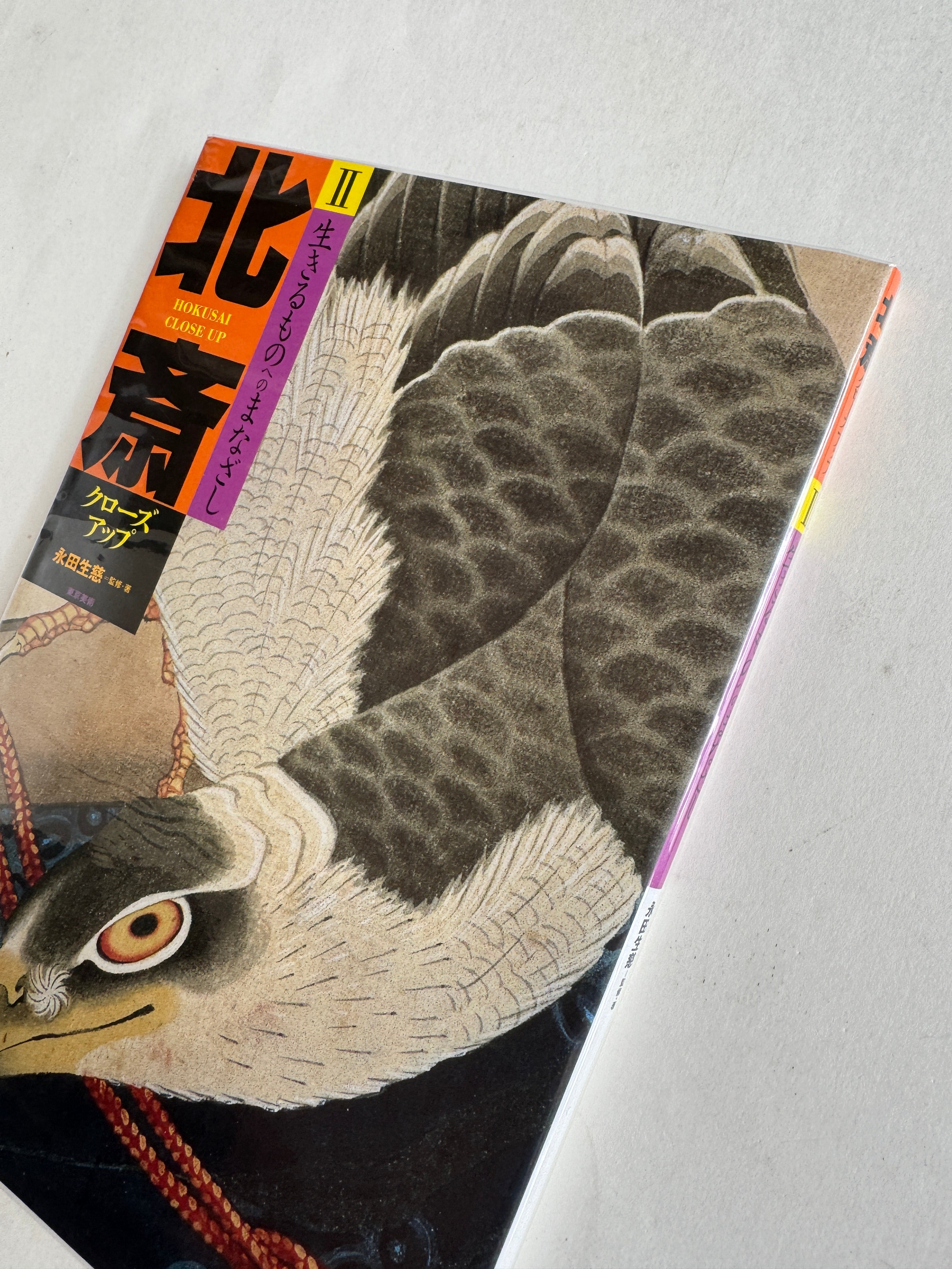 HOKUSAI CLOSE UP II