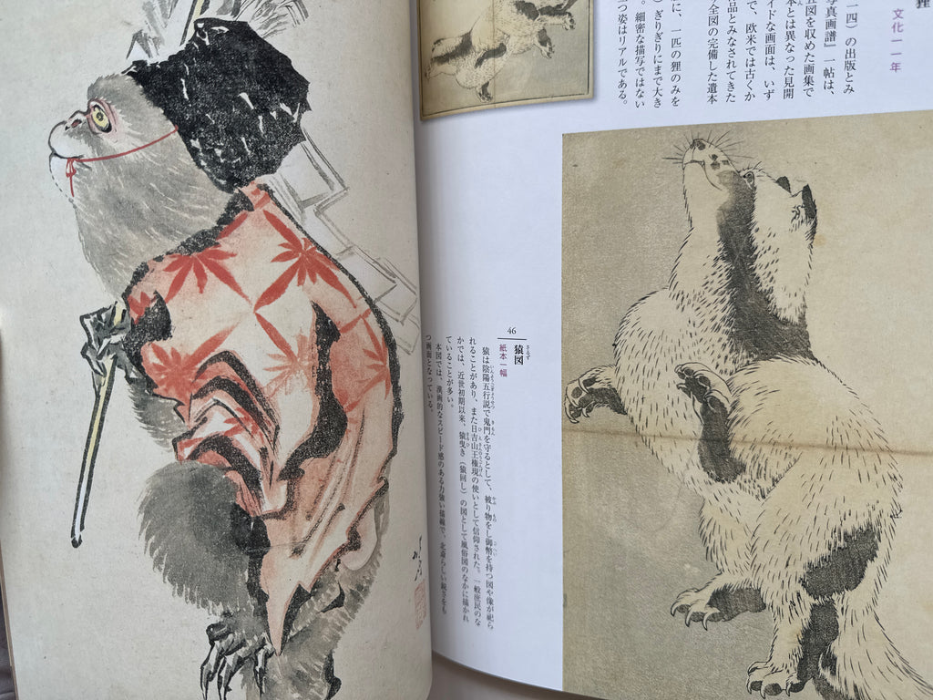 HOKUSAI CLOSE UP II
