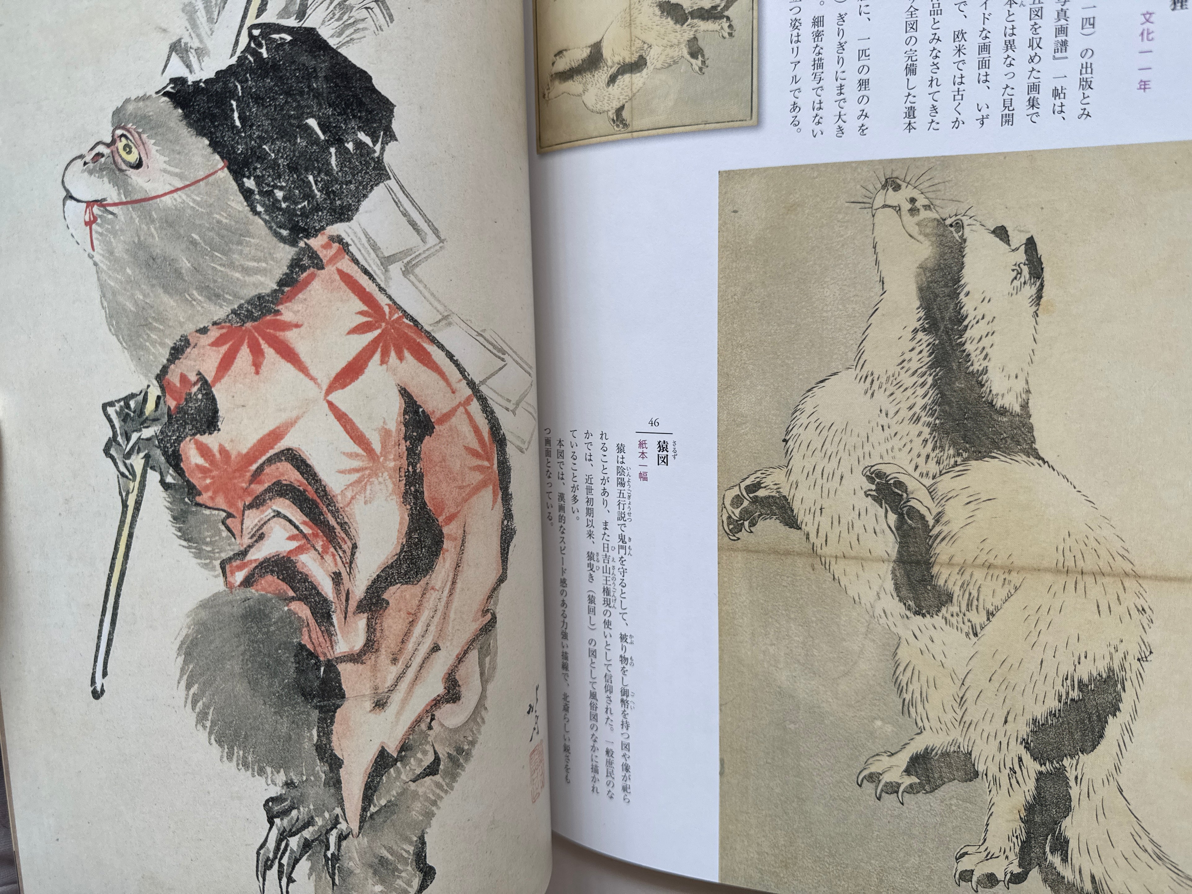 HOKUSAI CLOSE UP II