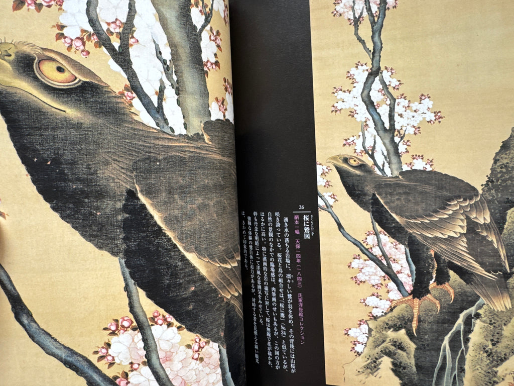 HOKUSAI CLOSE UP II