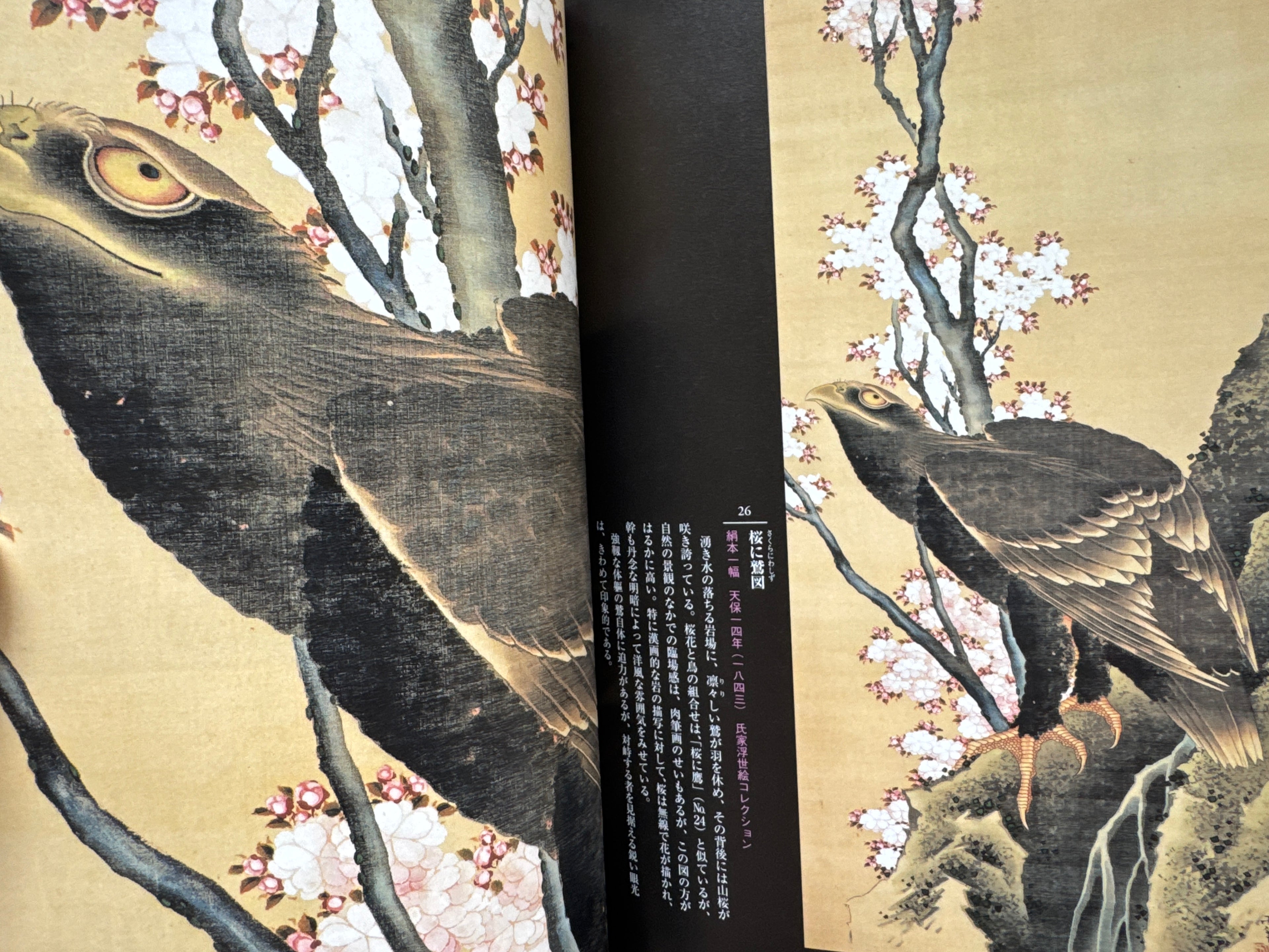 HOKUSAI CLOSE UP II