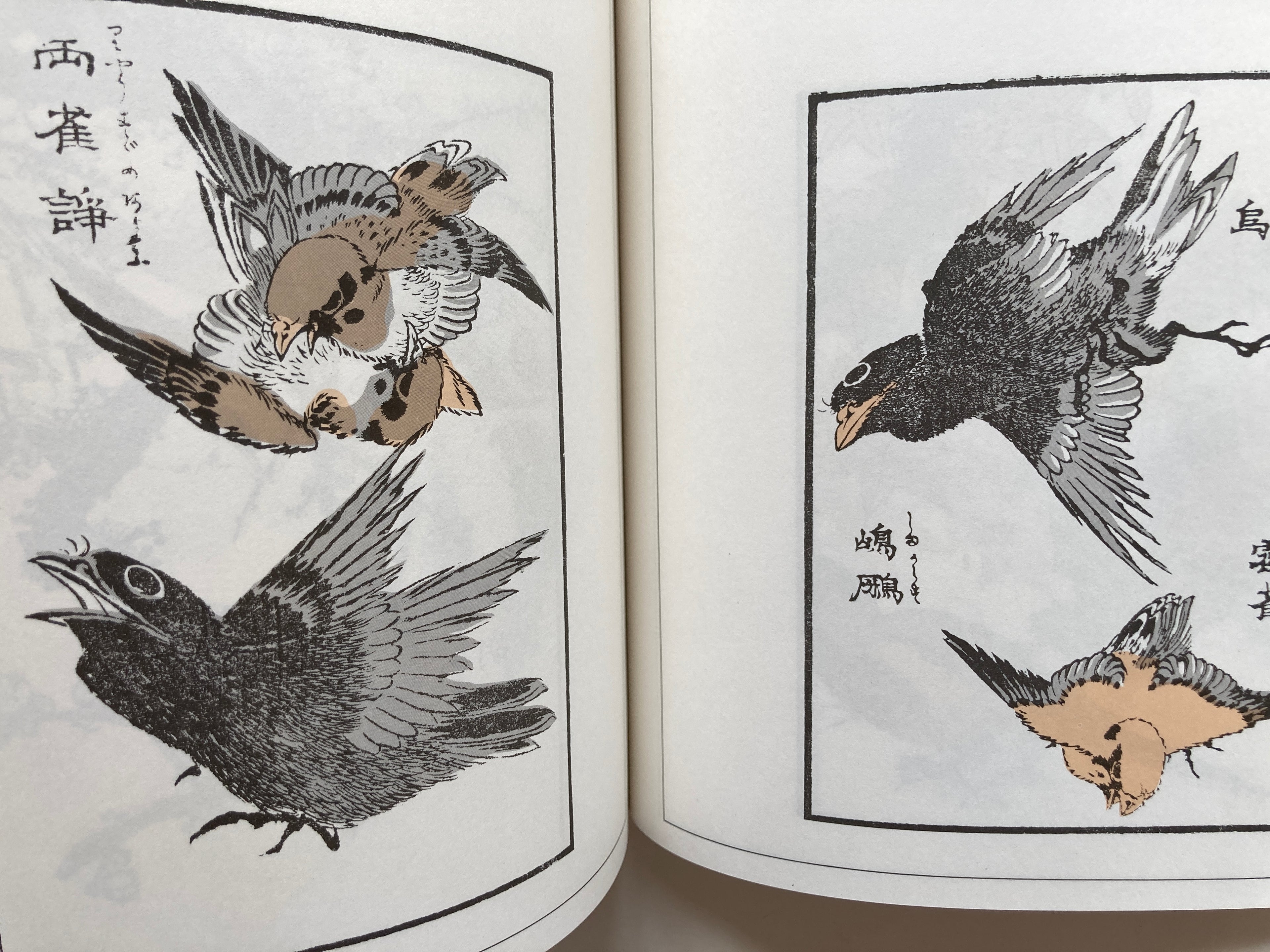 Edo Template Models Vol.2