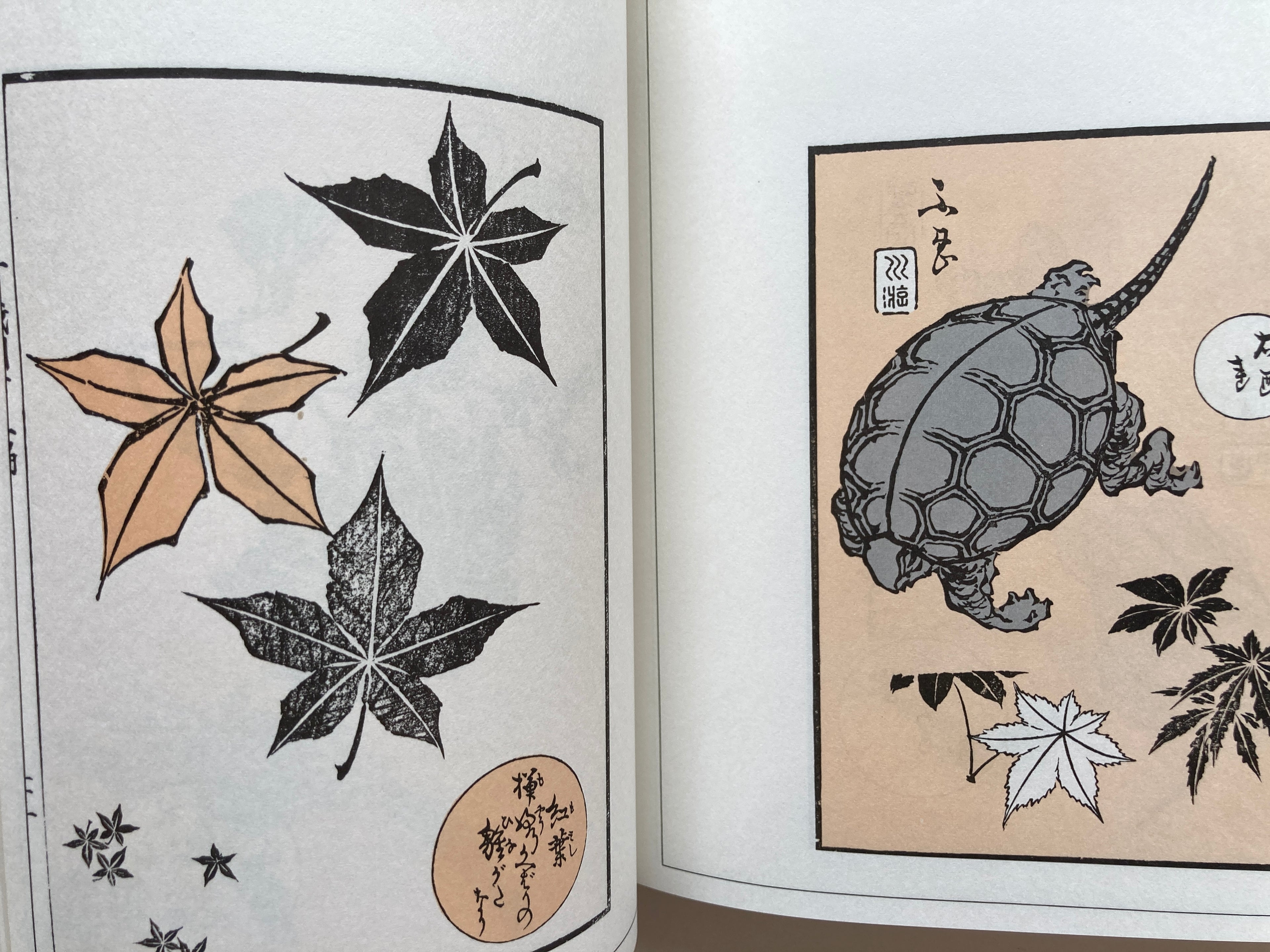 Edo Template Models Vol.2