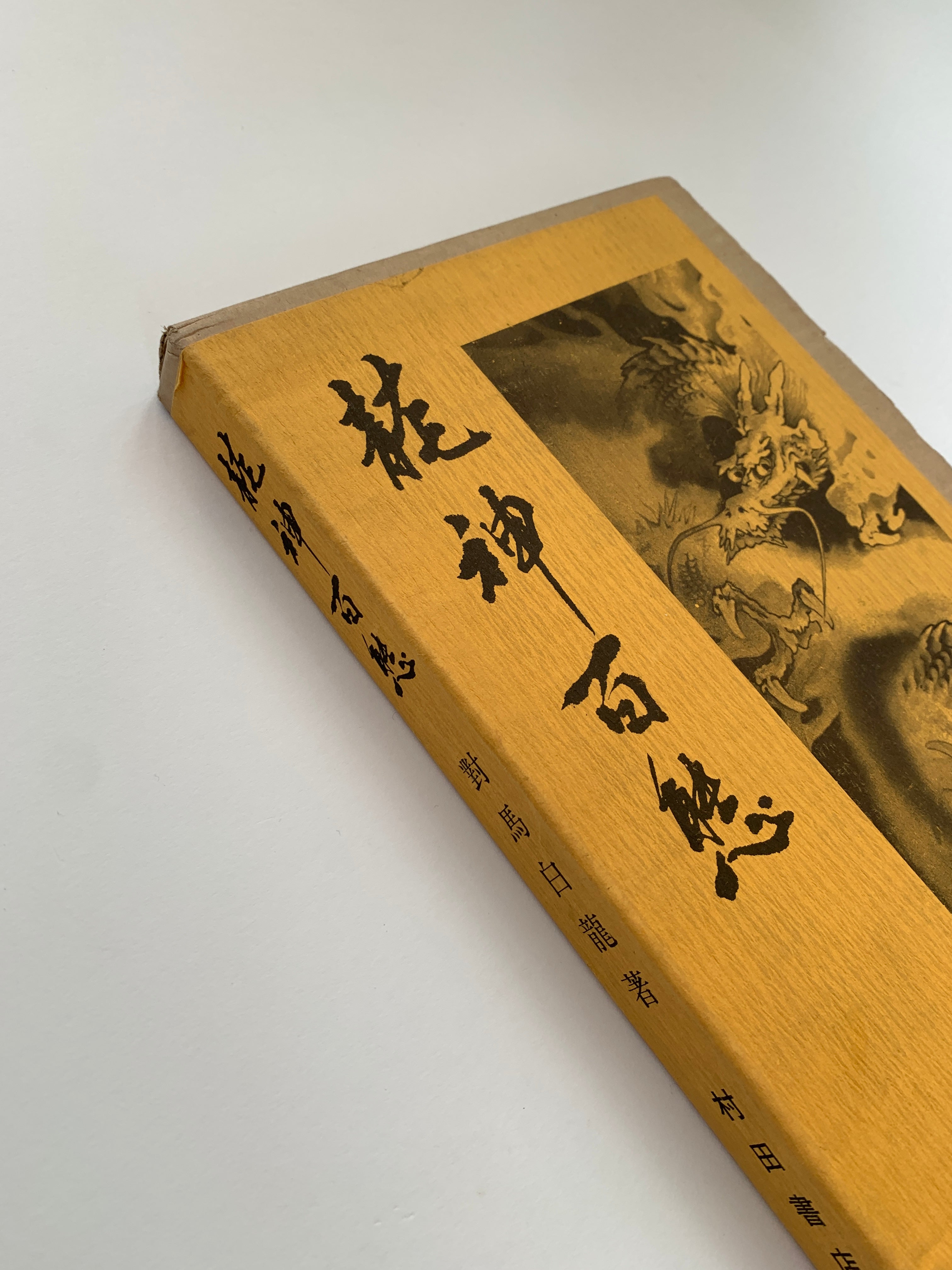 100 phases of Dragon