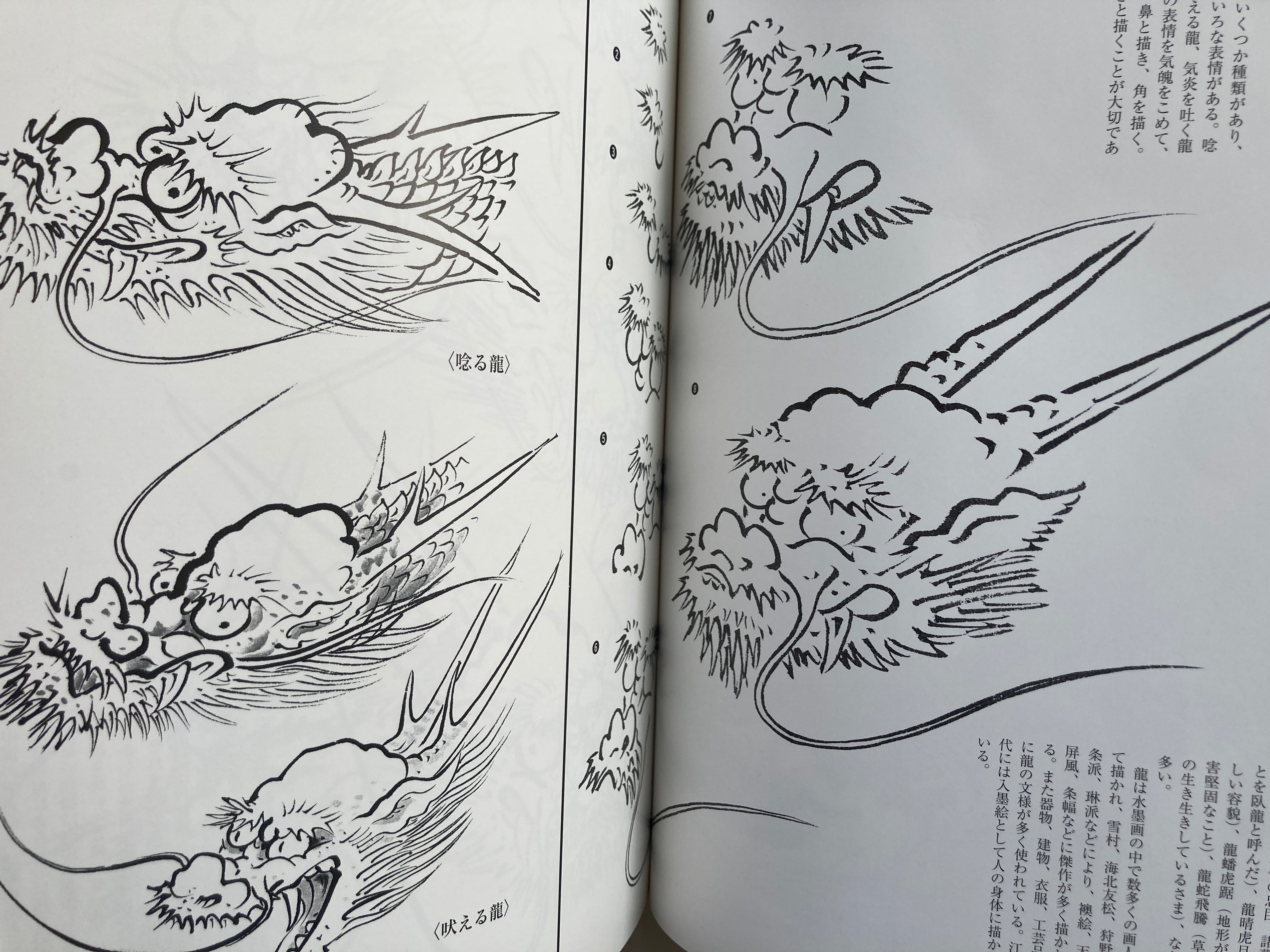 How to Draw Dragon in Ink-wash Painting by Yamada Gyokūn