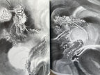 How to Draw Dragon in Ink-wash Painting by Yamada Gyokūn