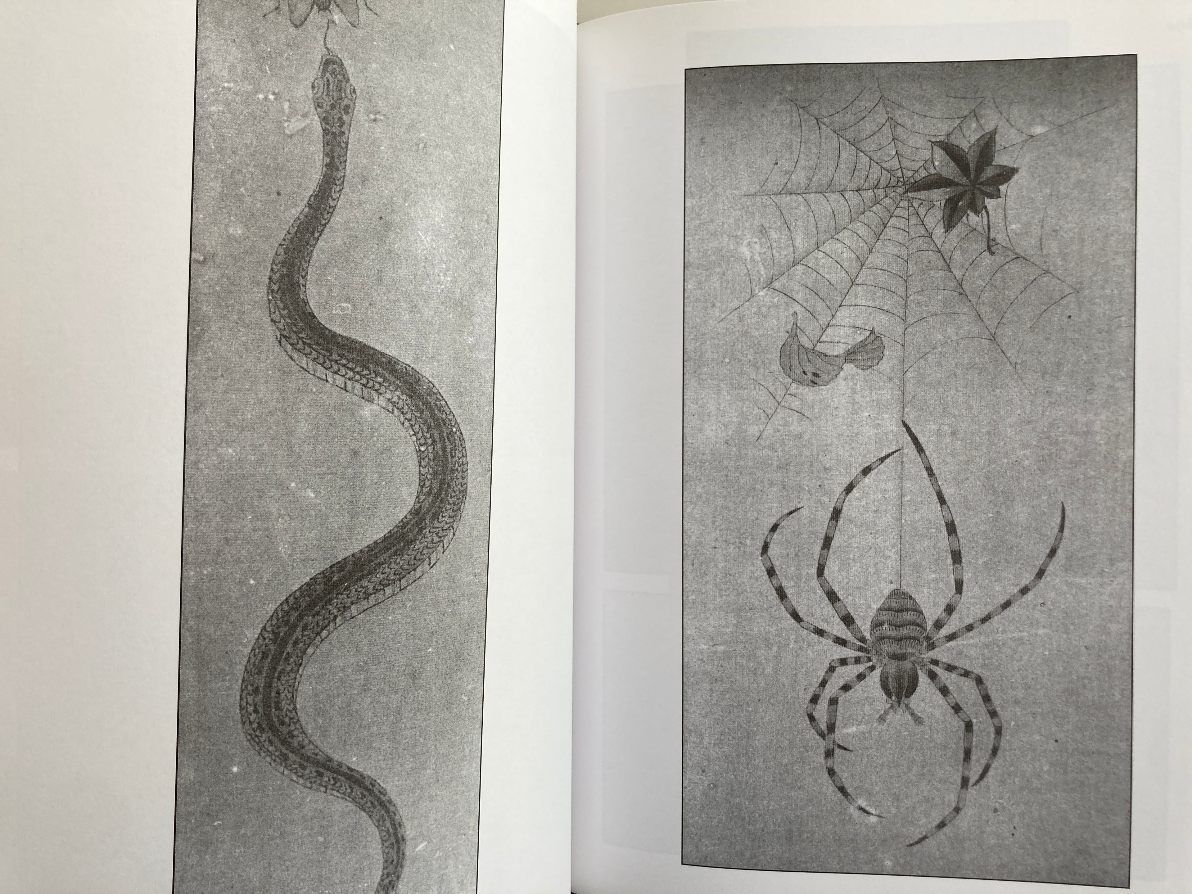 Beauty and Violence HORICHIYO Ambassador of the Japanese Tattoo