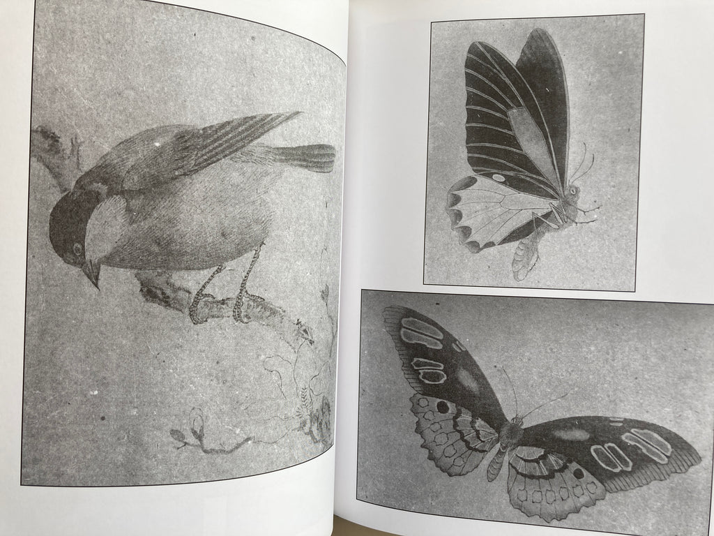 Beauty and Violence HORICHIYO Ambassador of the Japanese Tattoo