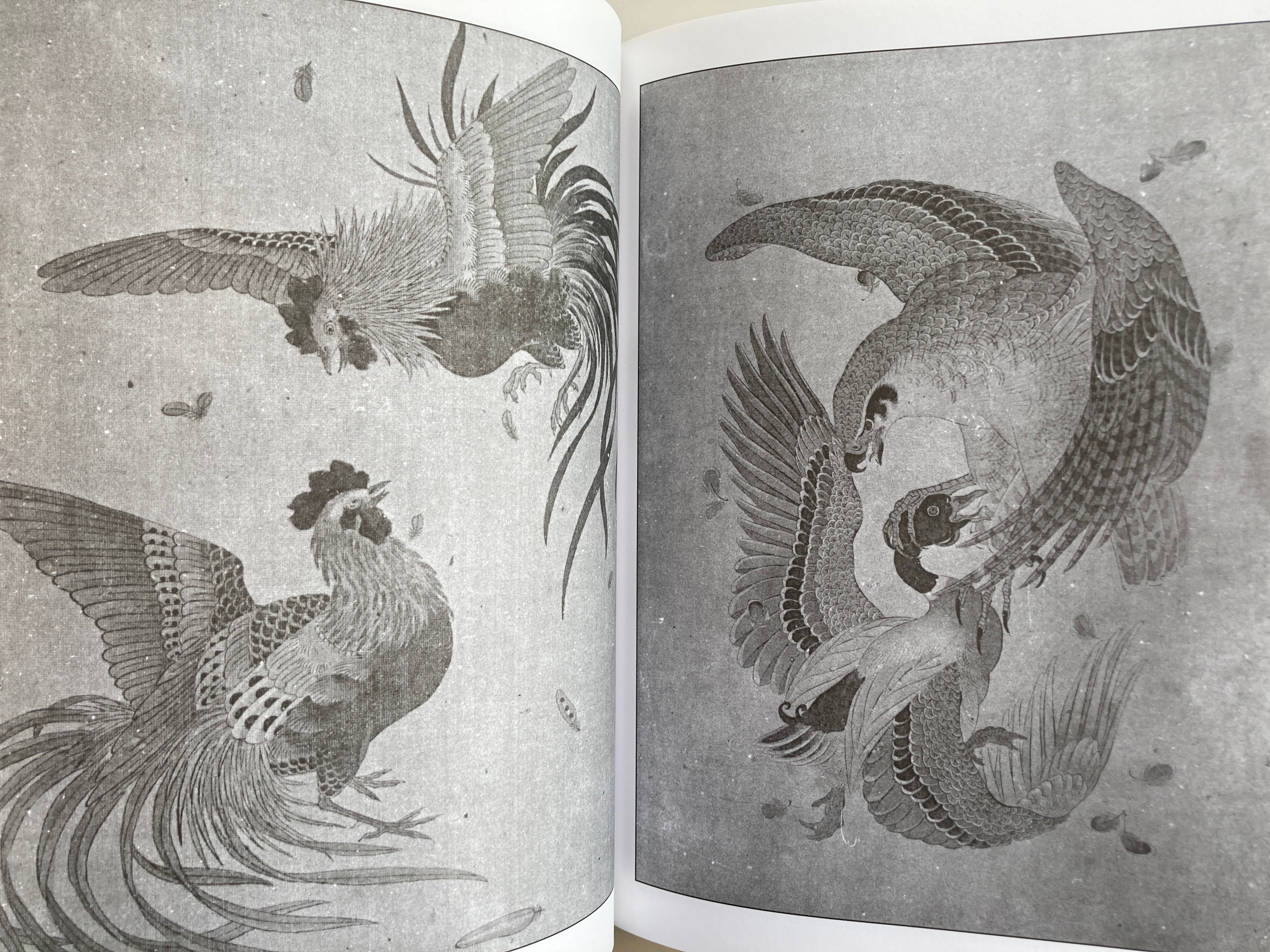 Beauty and Violence HORICHIYO Ambassador of the Japanese Tattoo