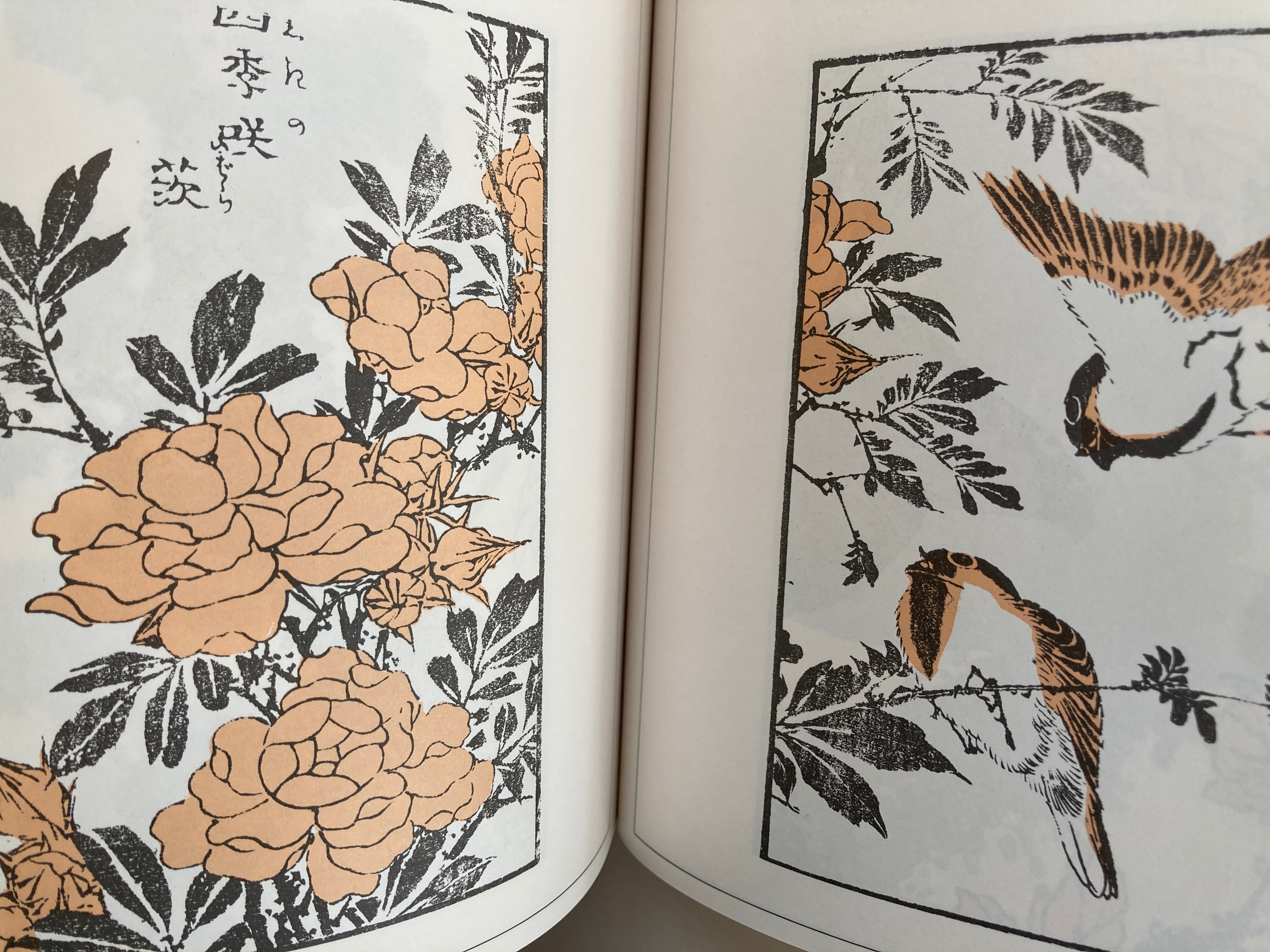 Edo Pattern / Vol. 3 – Mitsume Bookshop