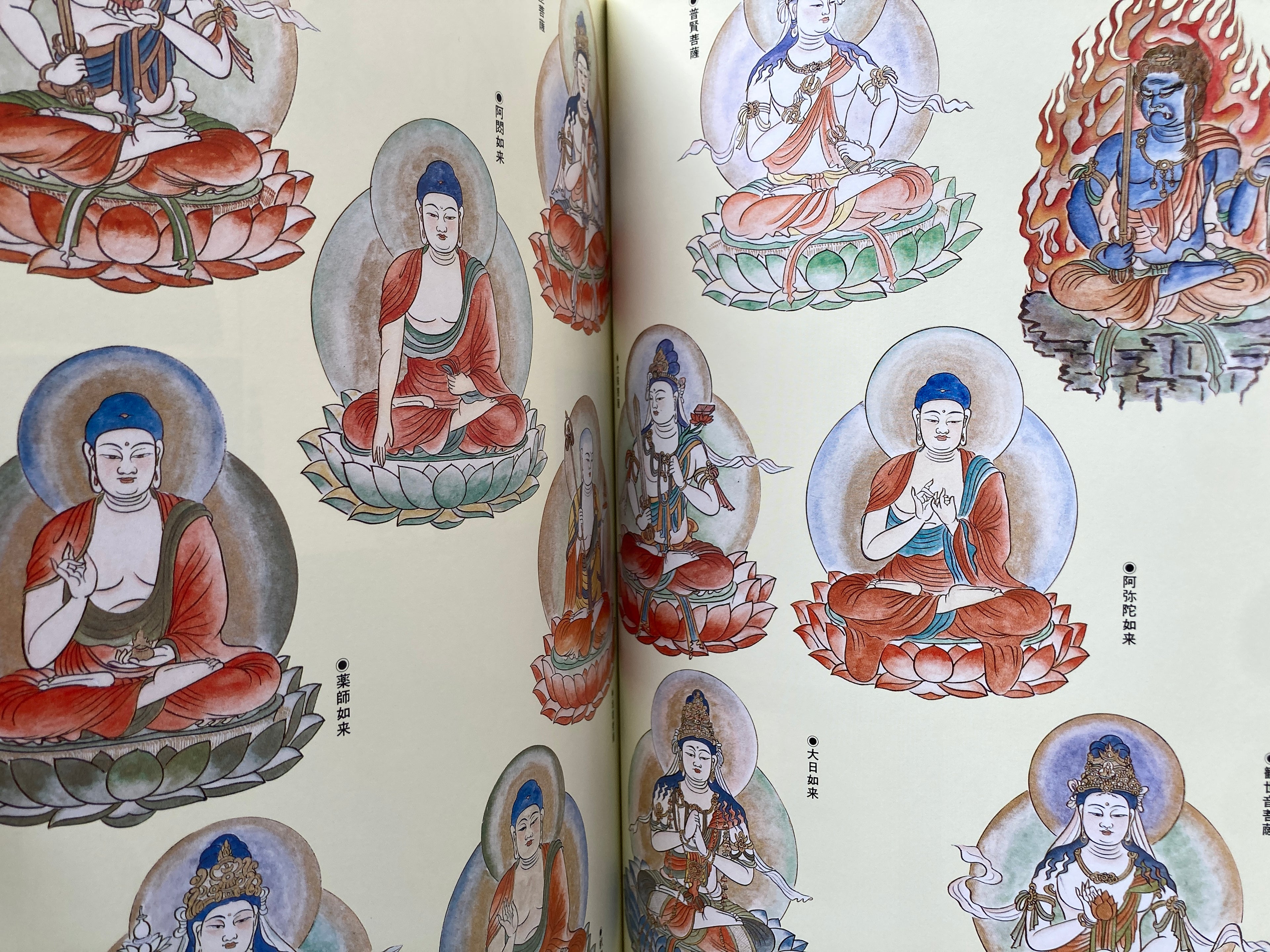 Shabutsu Sketch Picture Collection Volume 2 Amida Nyorai : Mamoru Honzon-13 Buddhas / [With 10 Shabutsu Sketch Picture Collections]