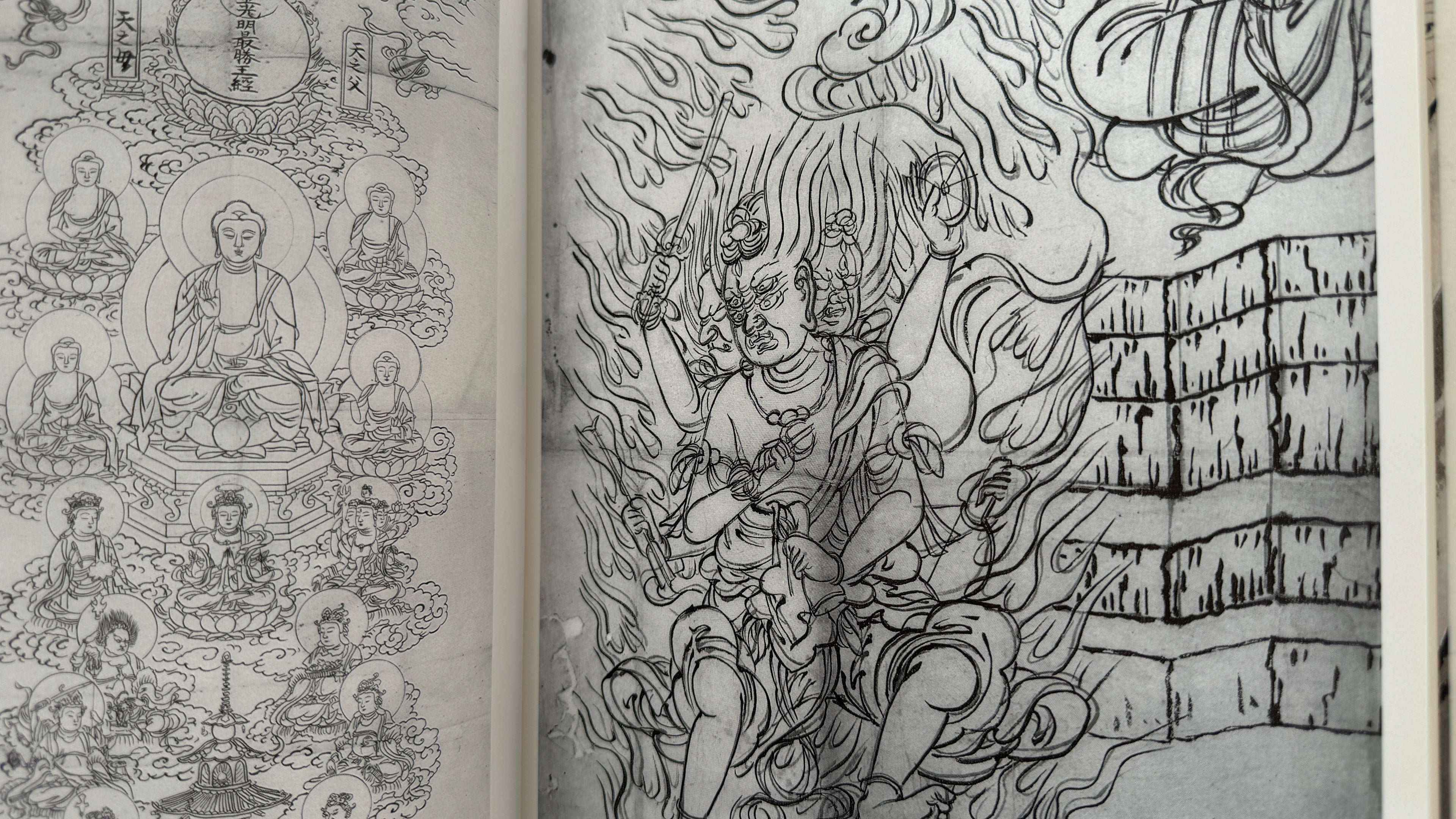 Maruyama School/ Full Set (Vol.1~5)