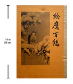 100 phases of Falcon