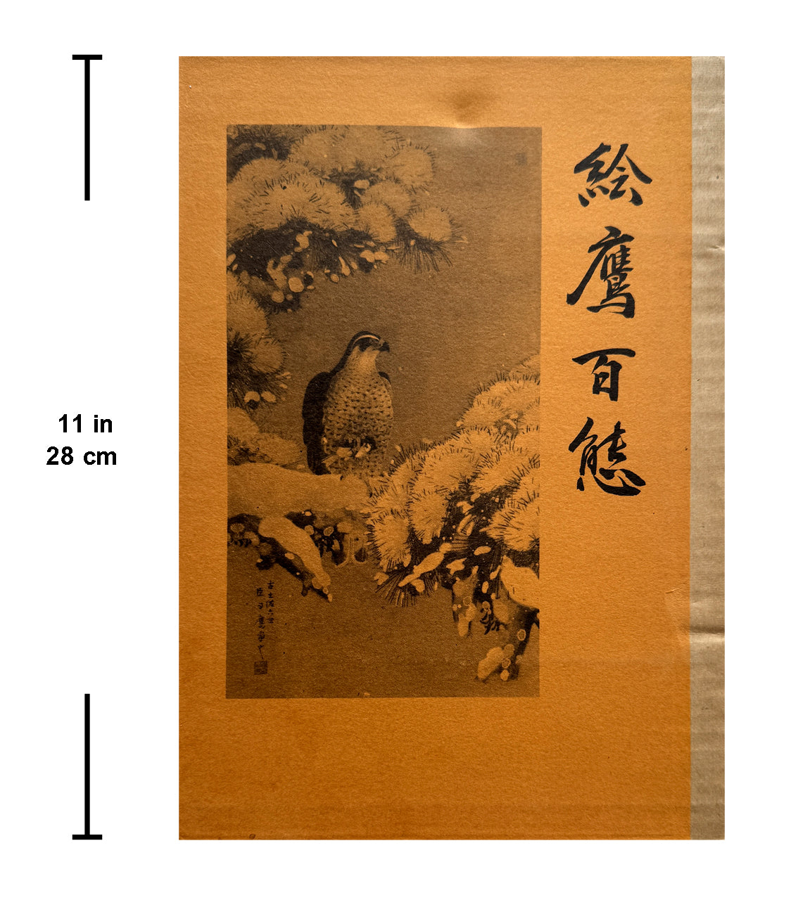 100 phases of Falcon