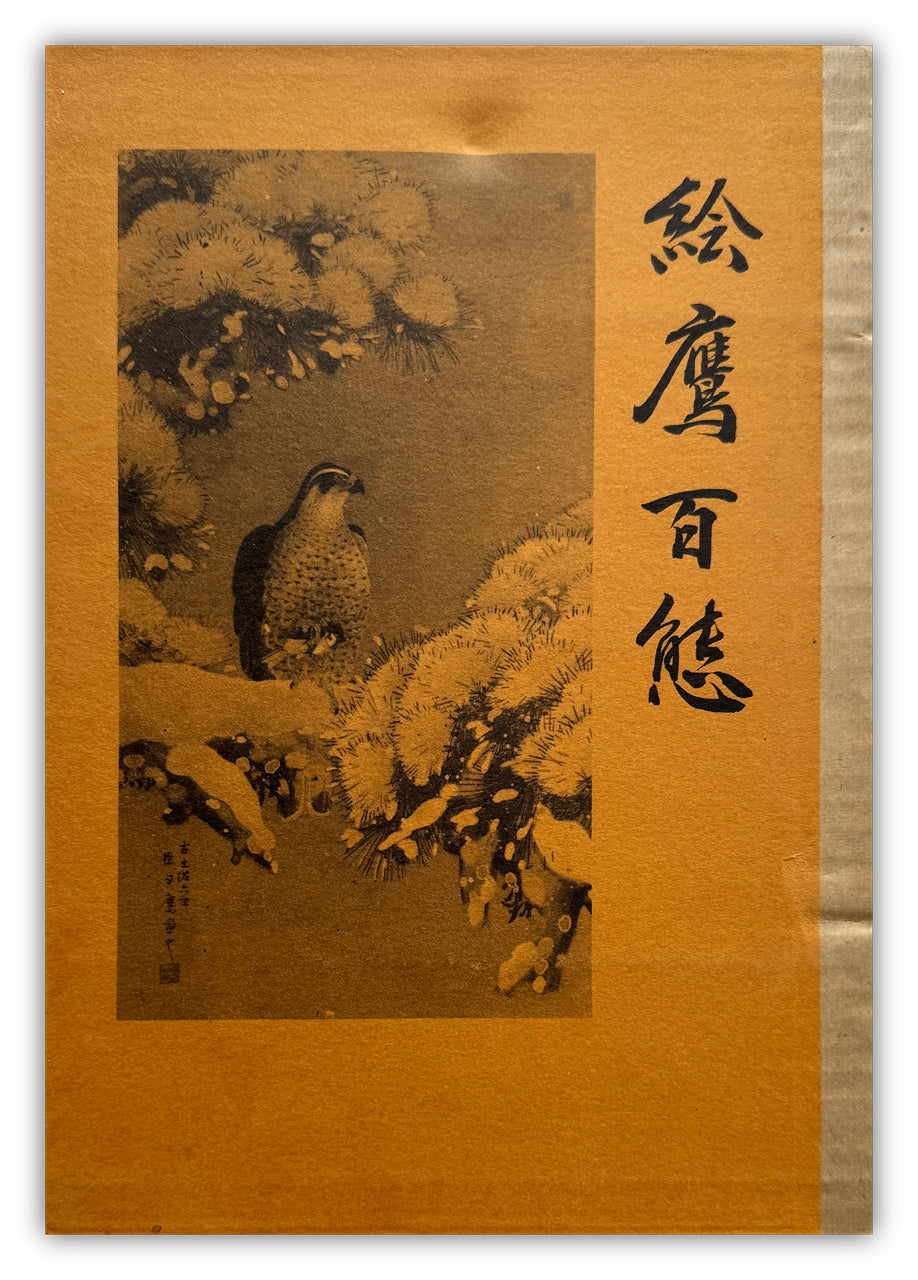 100 phases of Falcon