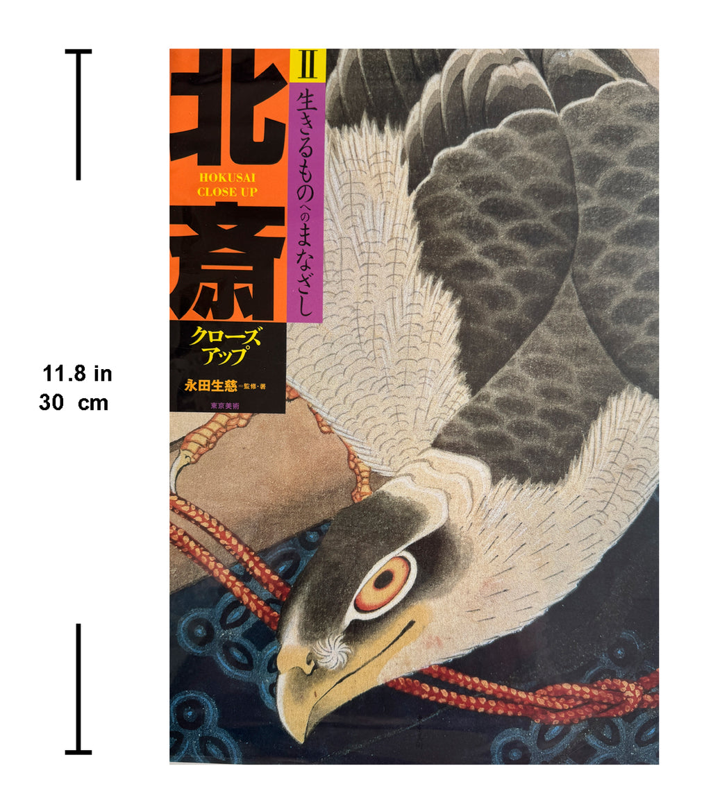 HOKUSAI CLOSE UP II