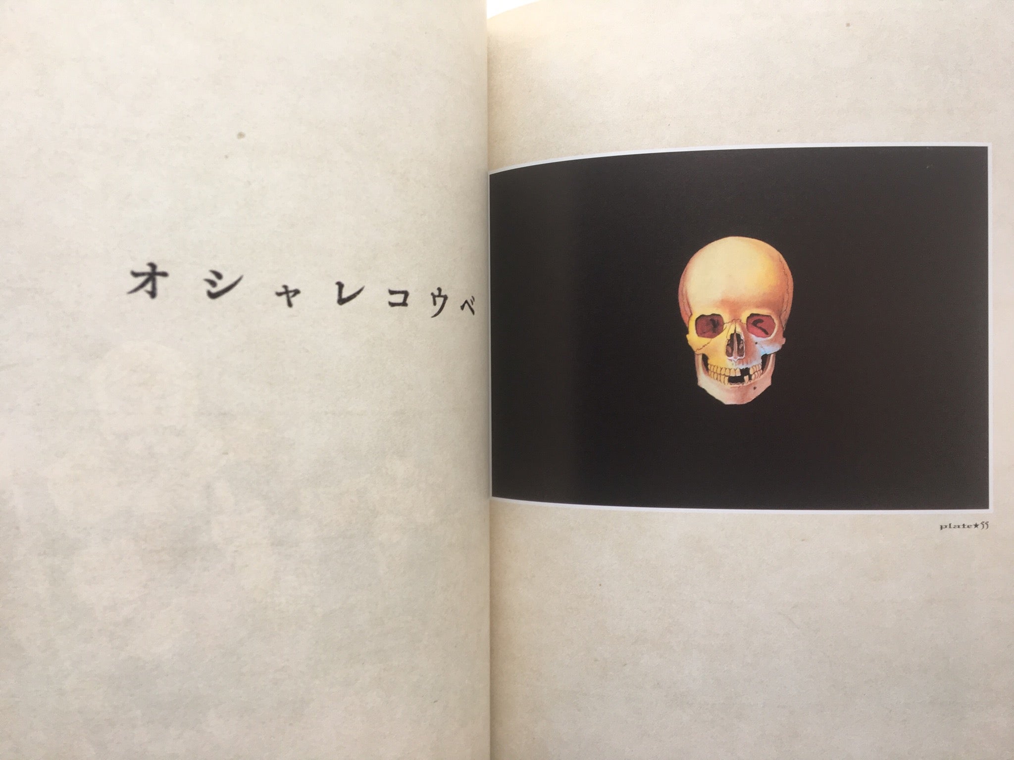 MARUO GRAPH DX I Revision