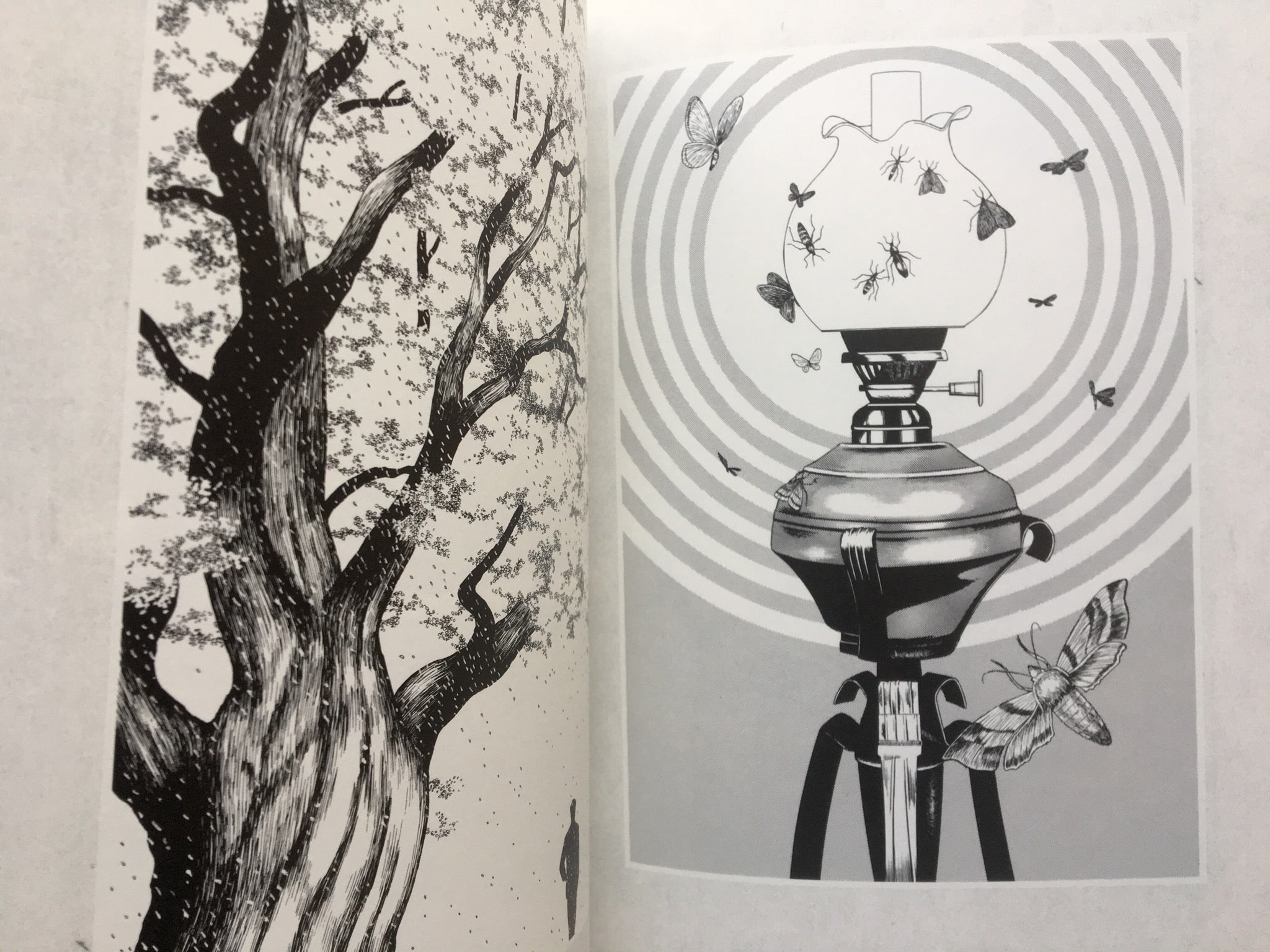 MARUO GRAPH DX I Revision