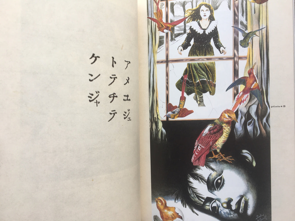 MARUO GRAPH DX I Revision