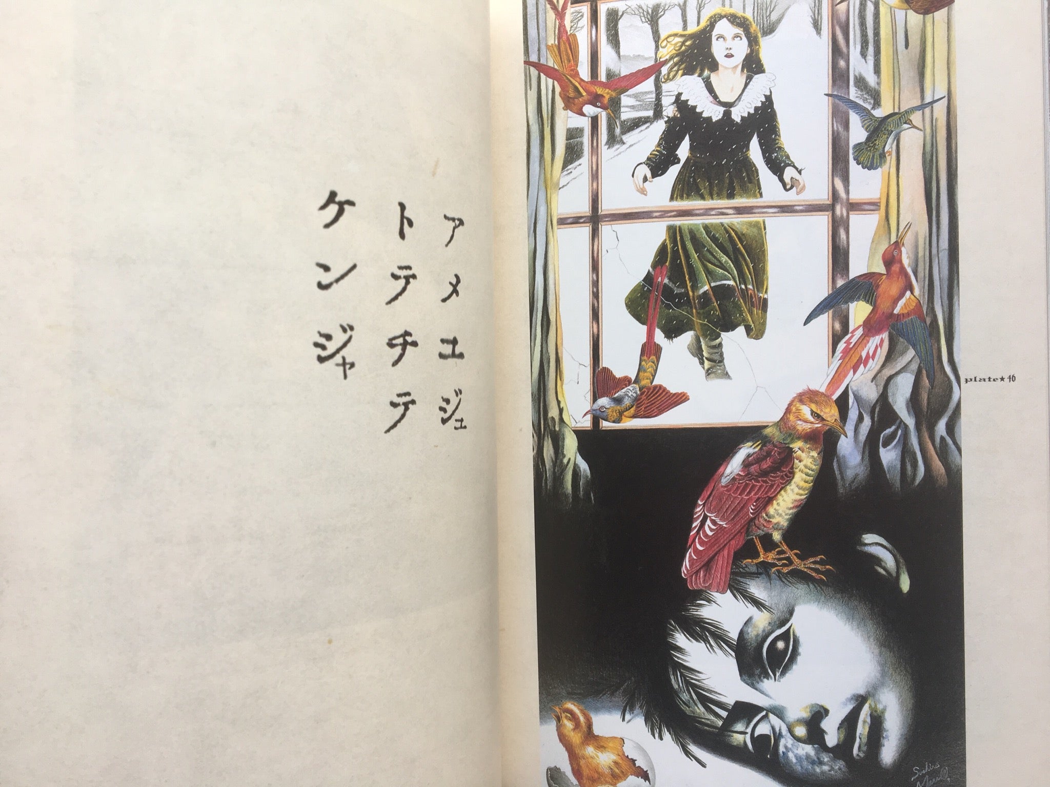 MARUO GRAPH DX I Revision