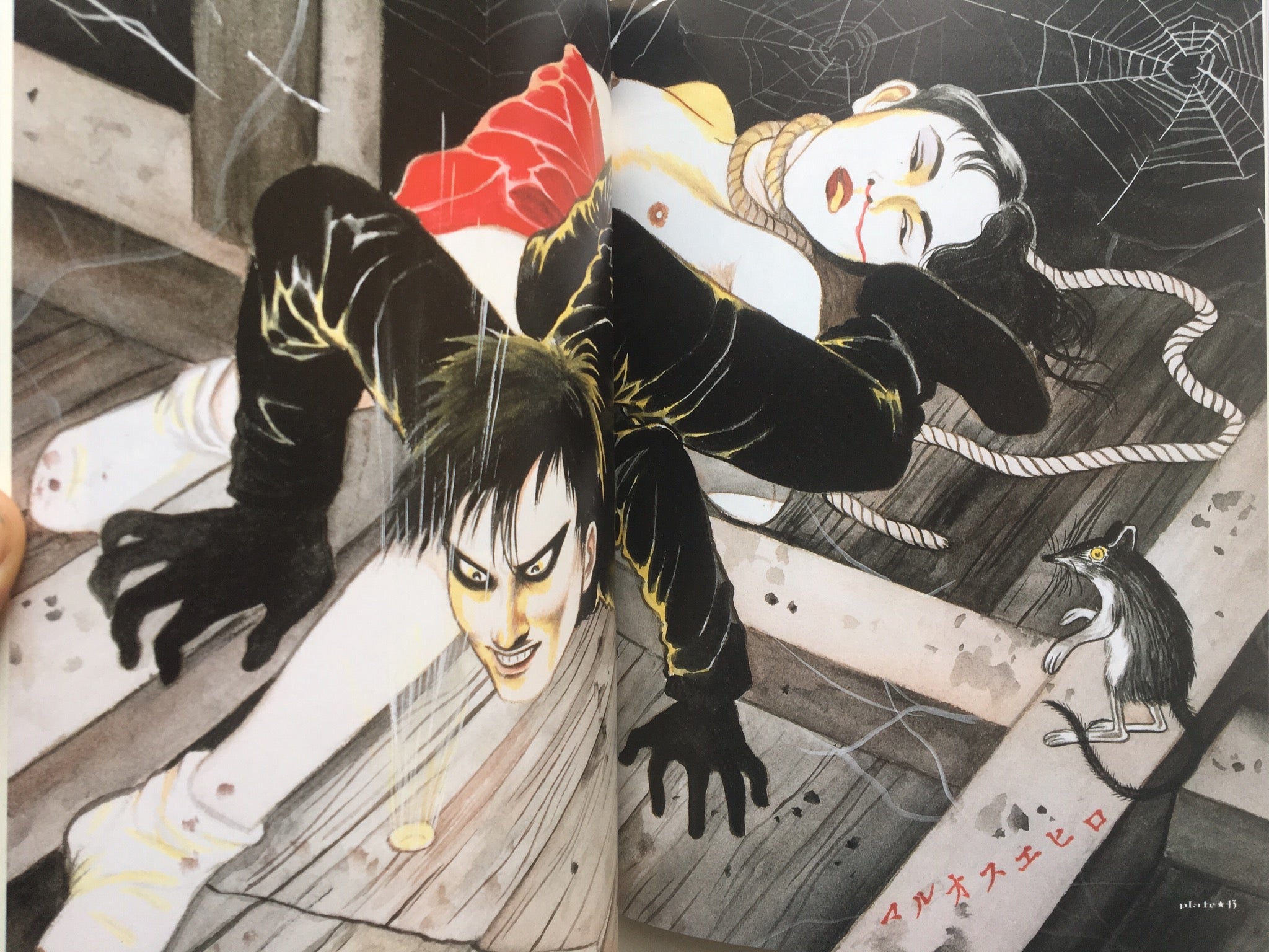 MARUO GRAPH DX I Revision