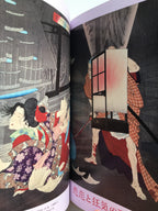 The Astonishing Work of Yoshitoshi Tsukioka