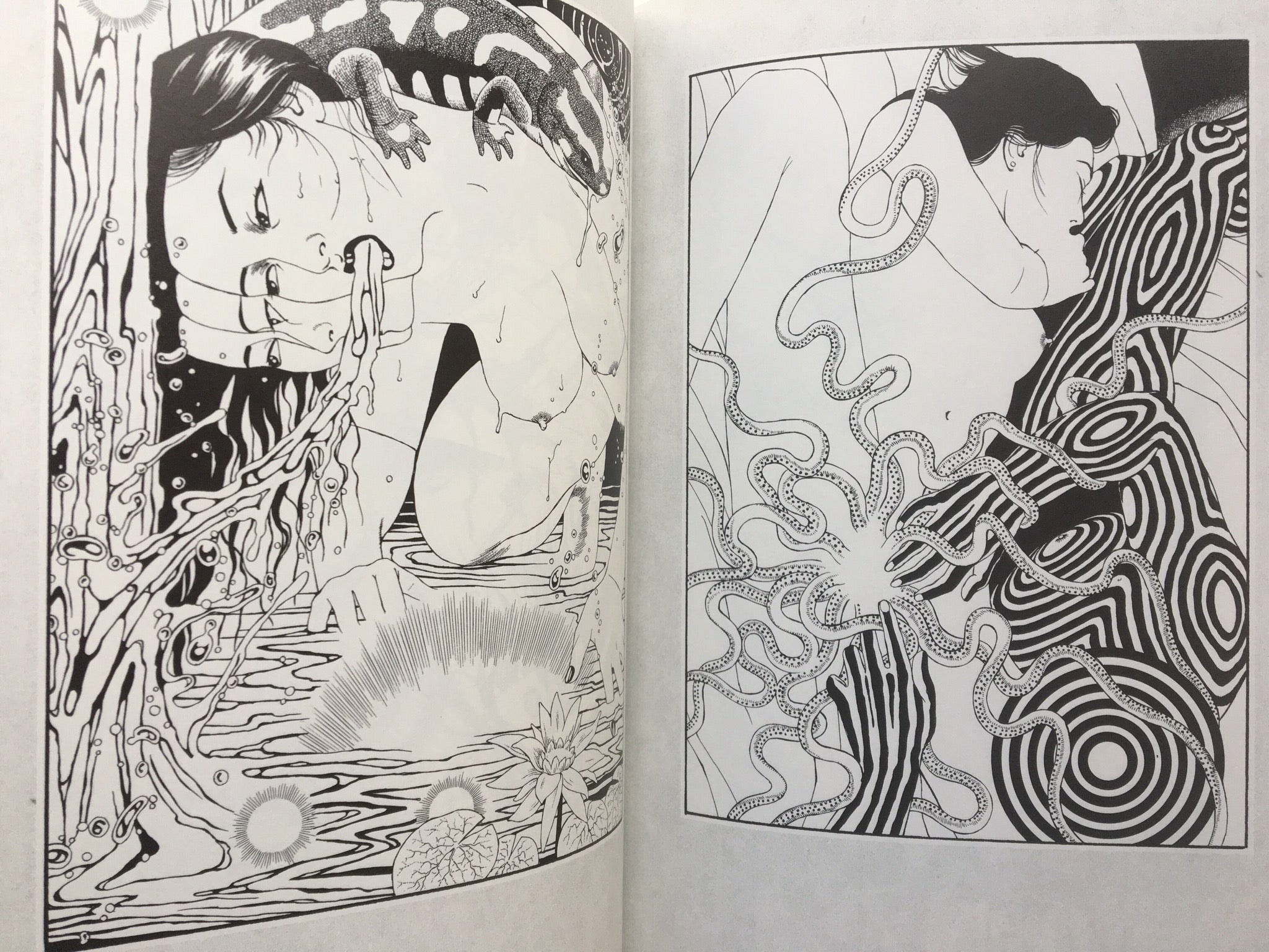 MARUO GRAPH DX I Revision