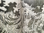 HOKUSAI CLOSE UP