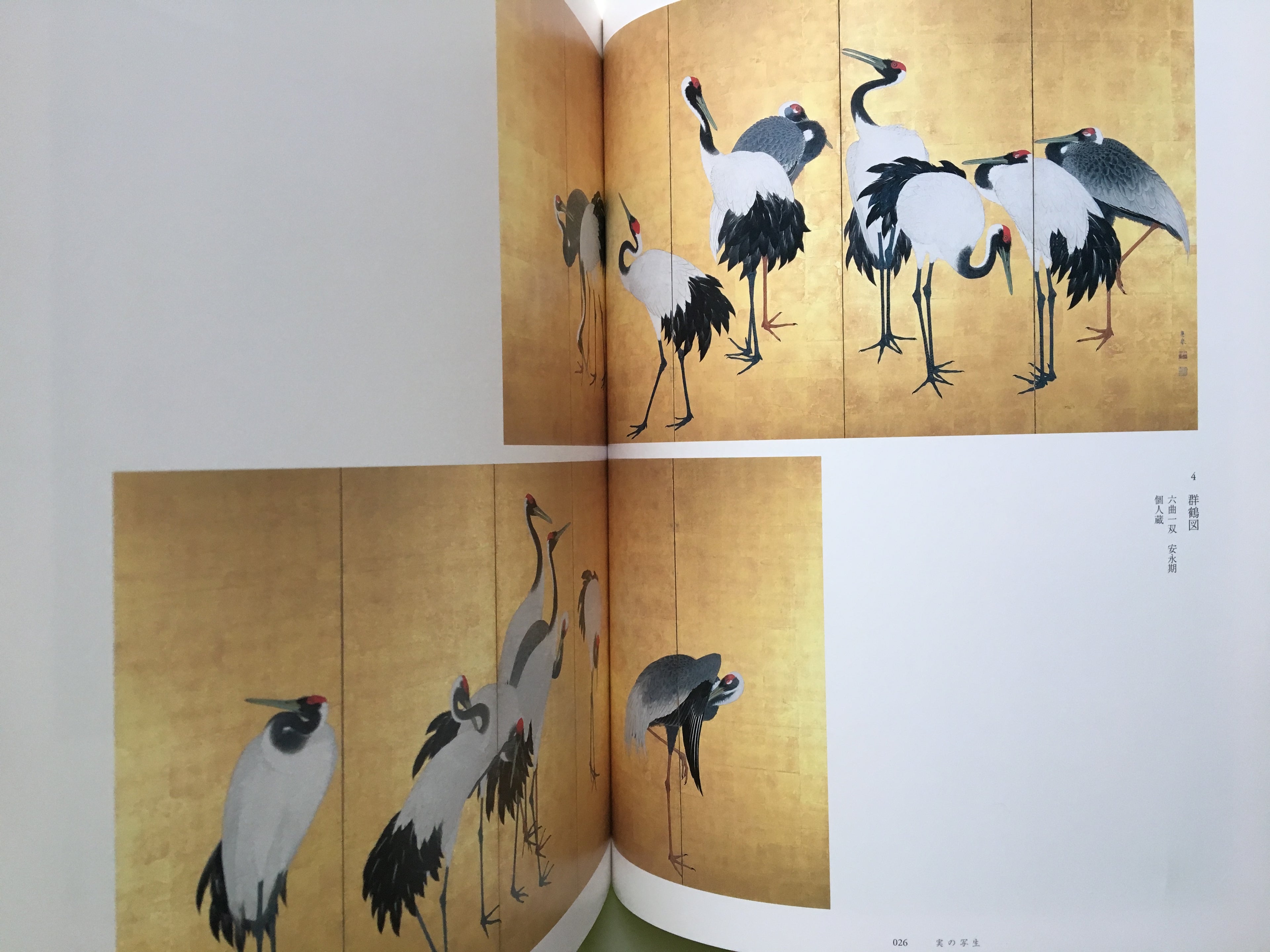 Catalogue from SPECIAL EXHIBITION: MARUYAMA OKYO: SHASEIGA - CHALLENGING A NEW FRONTIER.