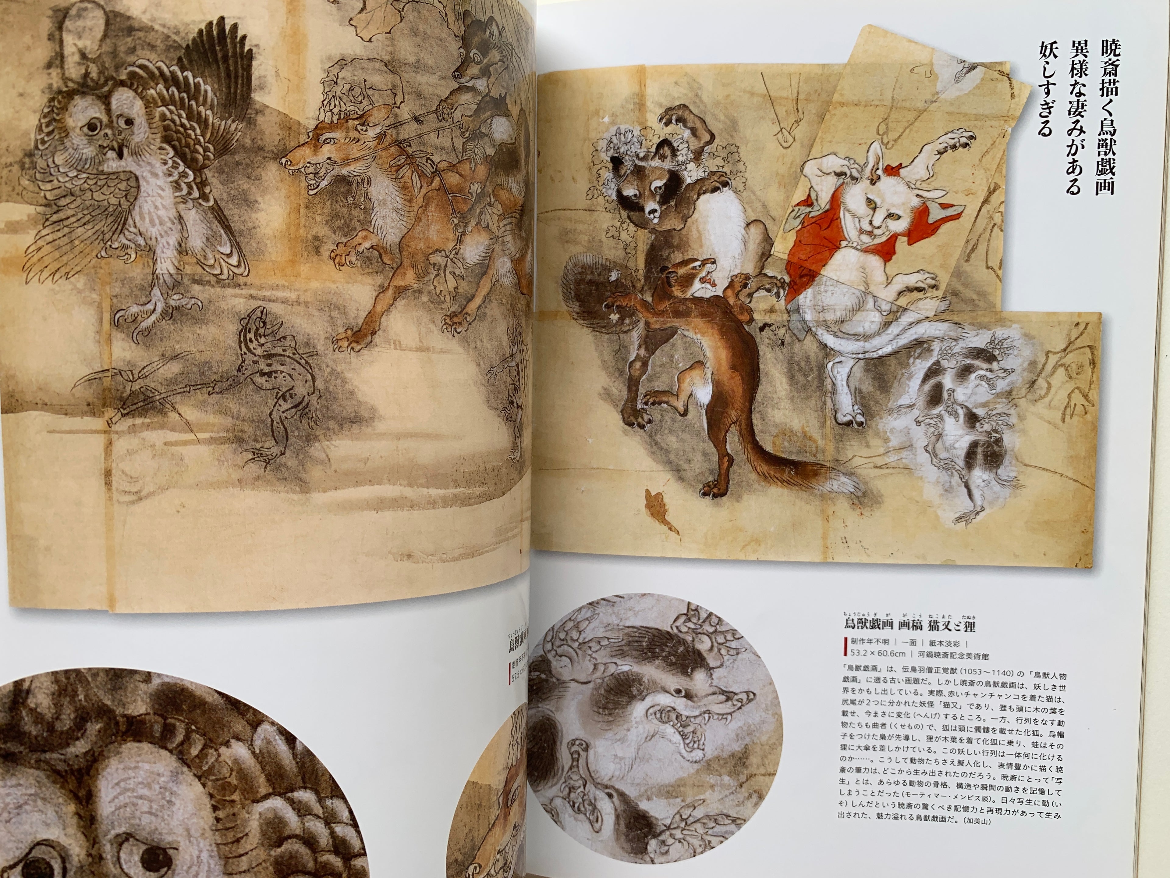 The SUN, monthly deluxe: Kawanabe KYOSAI