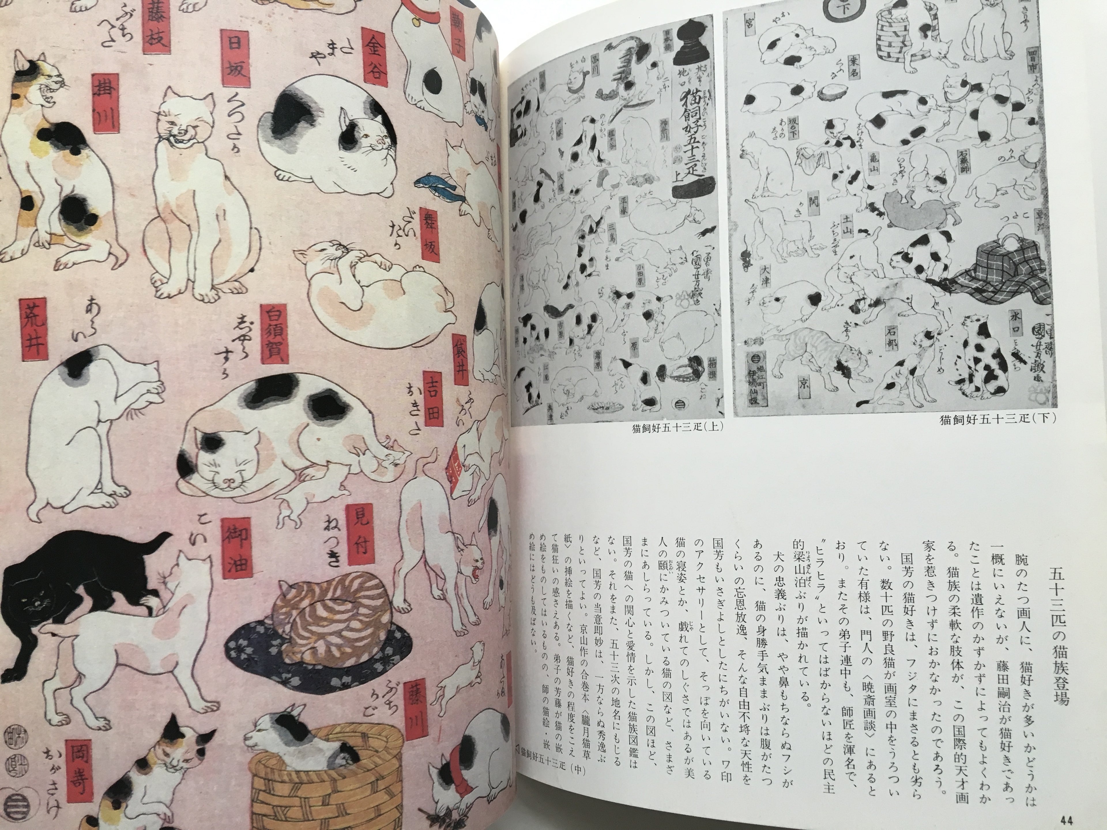 Exhibition: A passionate painter of Ukiyo-e Kuniyoshi