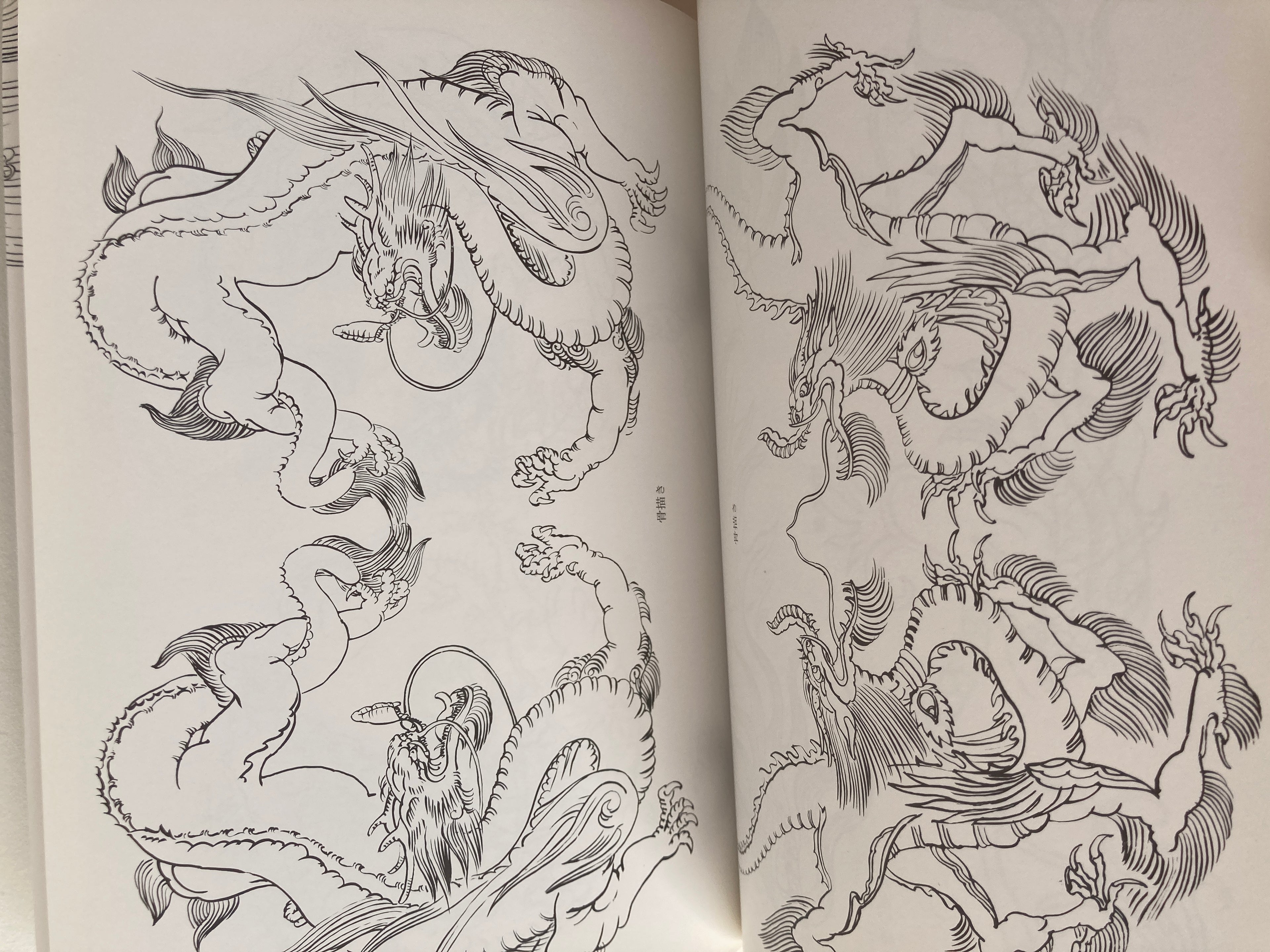 DRAW A DRAGON - from Sketches to Works by Tansai Terano.
