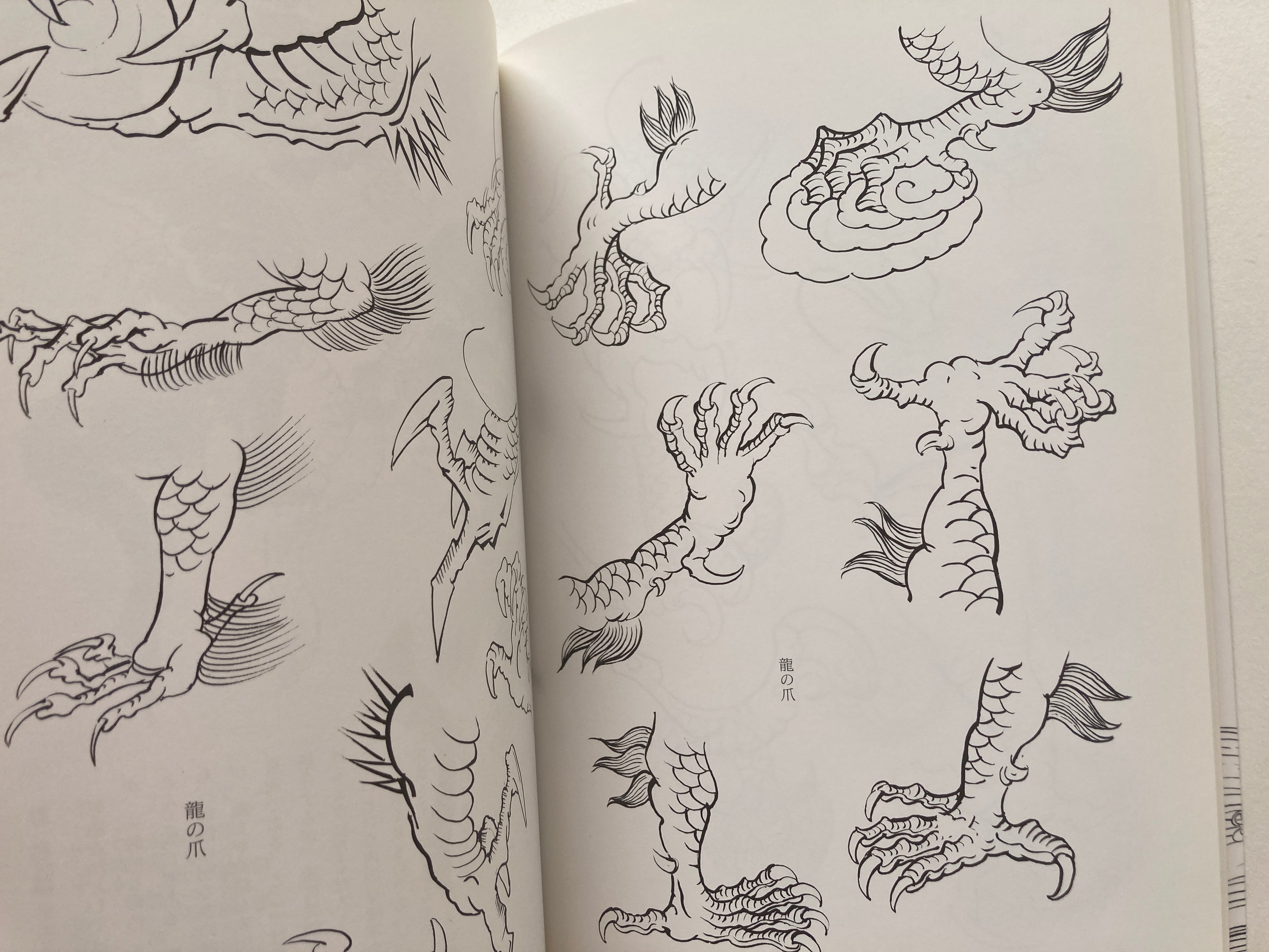 DRAW A DRAGON - from Sketches to Works by Tansai Terano.