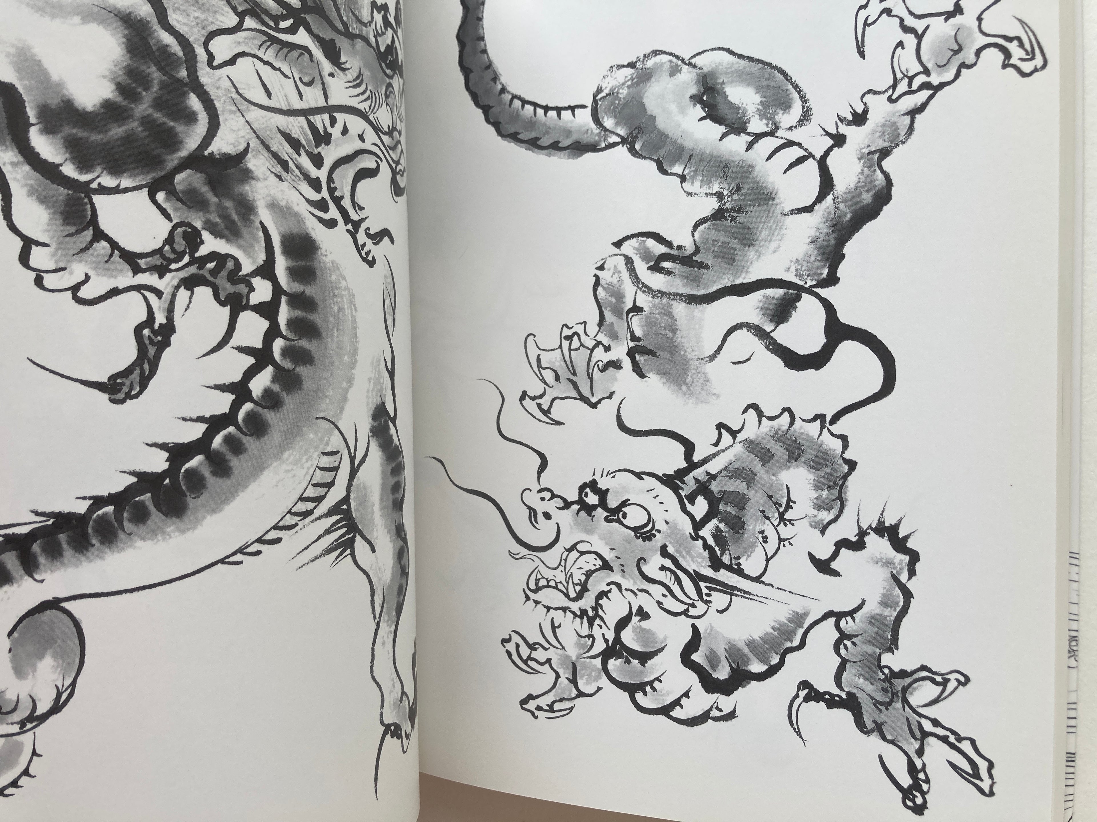 DRAW A DRAGON - from Sketches to Works by Tansai Terano.