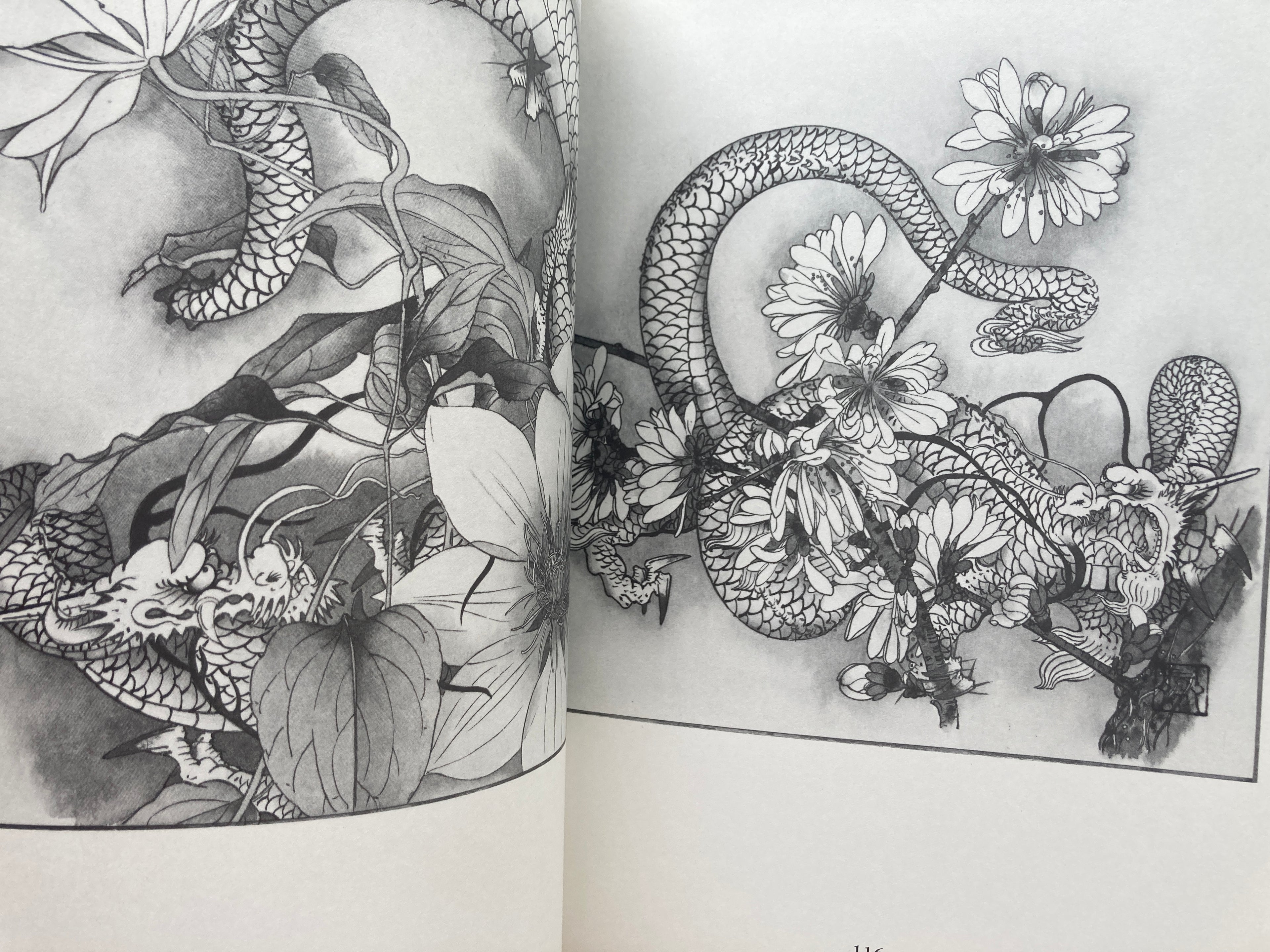 How to Draw a Dragon New edition of 1985 by Tansai Terano