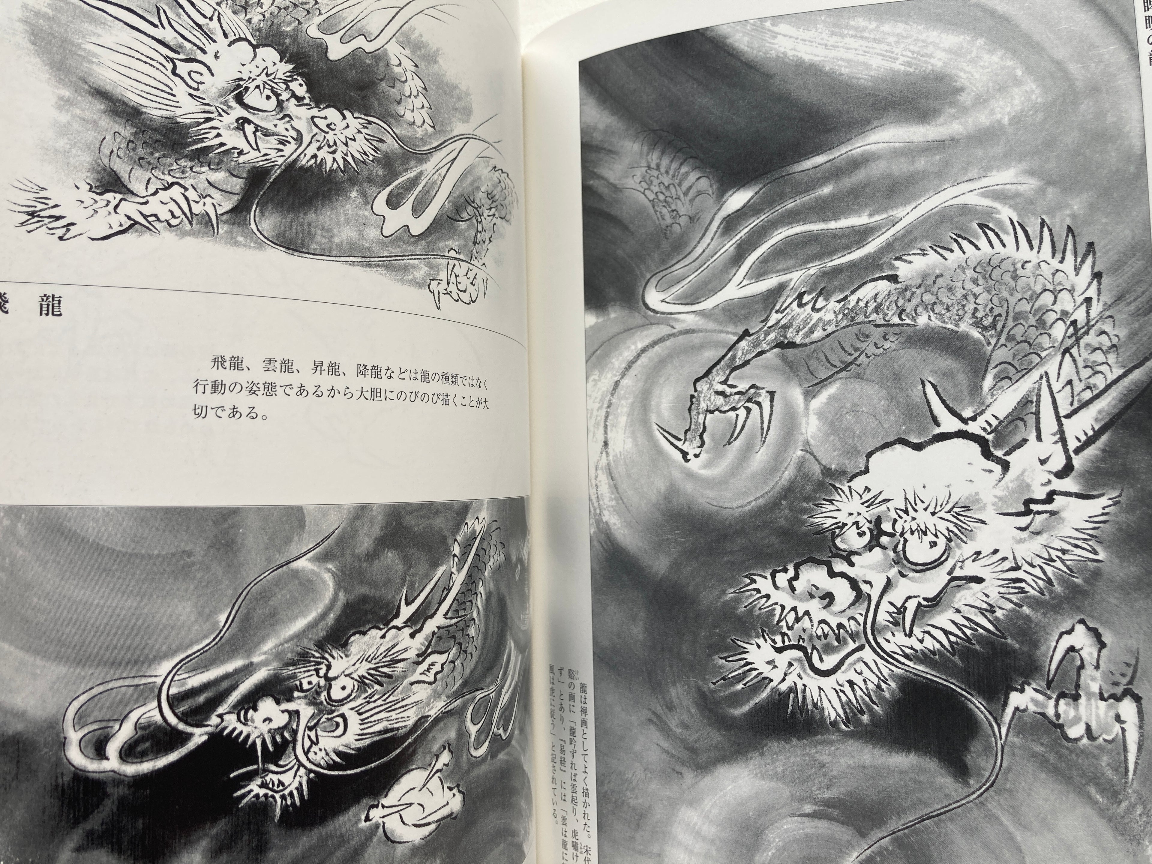 DRAW A DRAGON - Excellent ink painting series